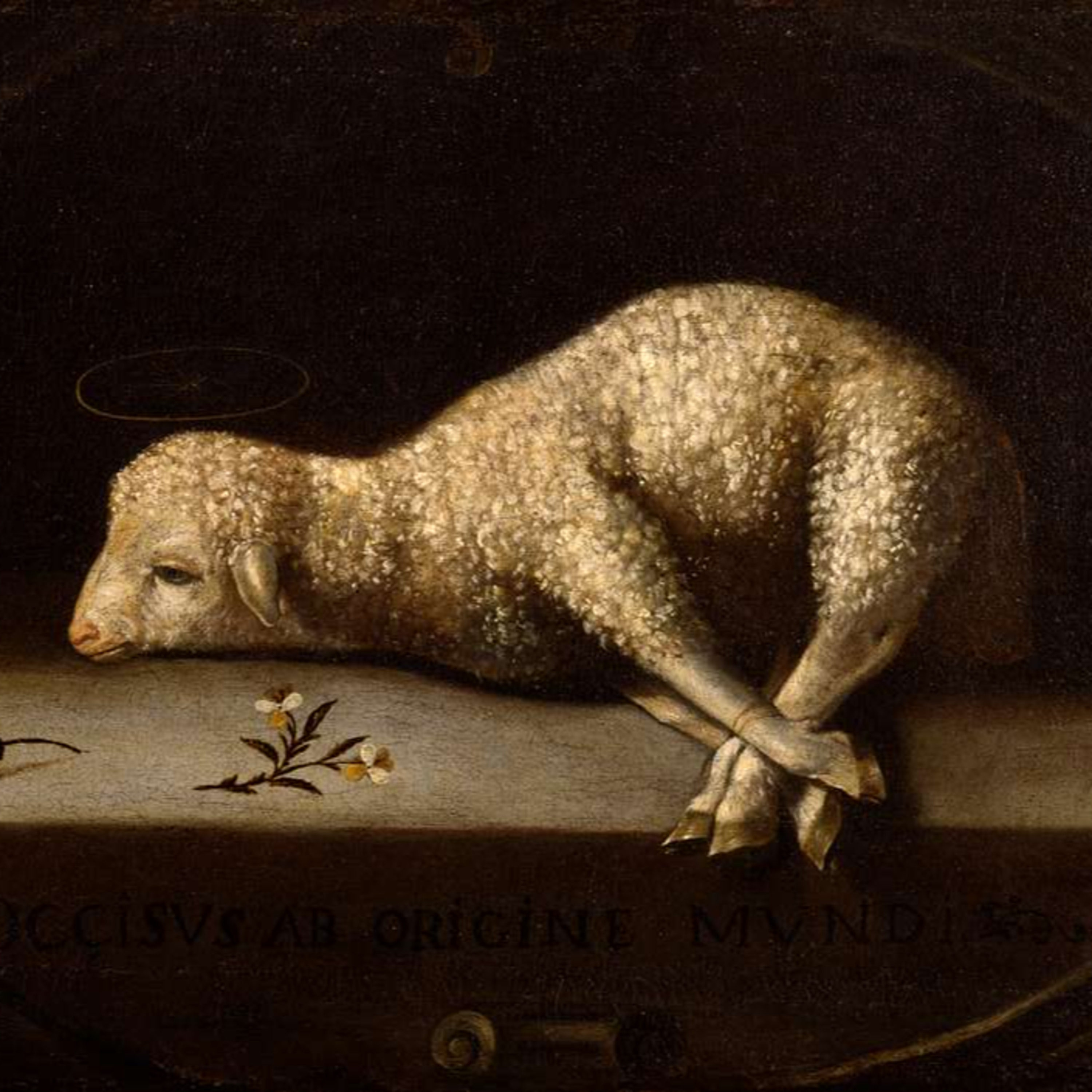 Christ, the Good Shepherd, and the Priesthood, homily for 4th Sunday of Easter, April 21, 2024 episode artwork
