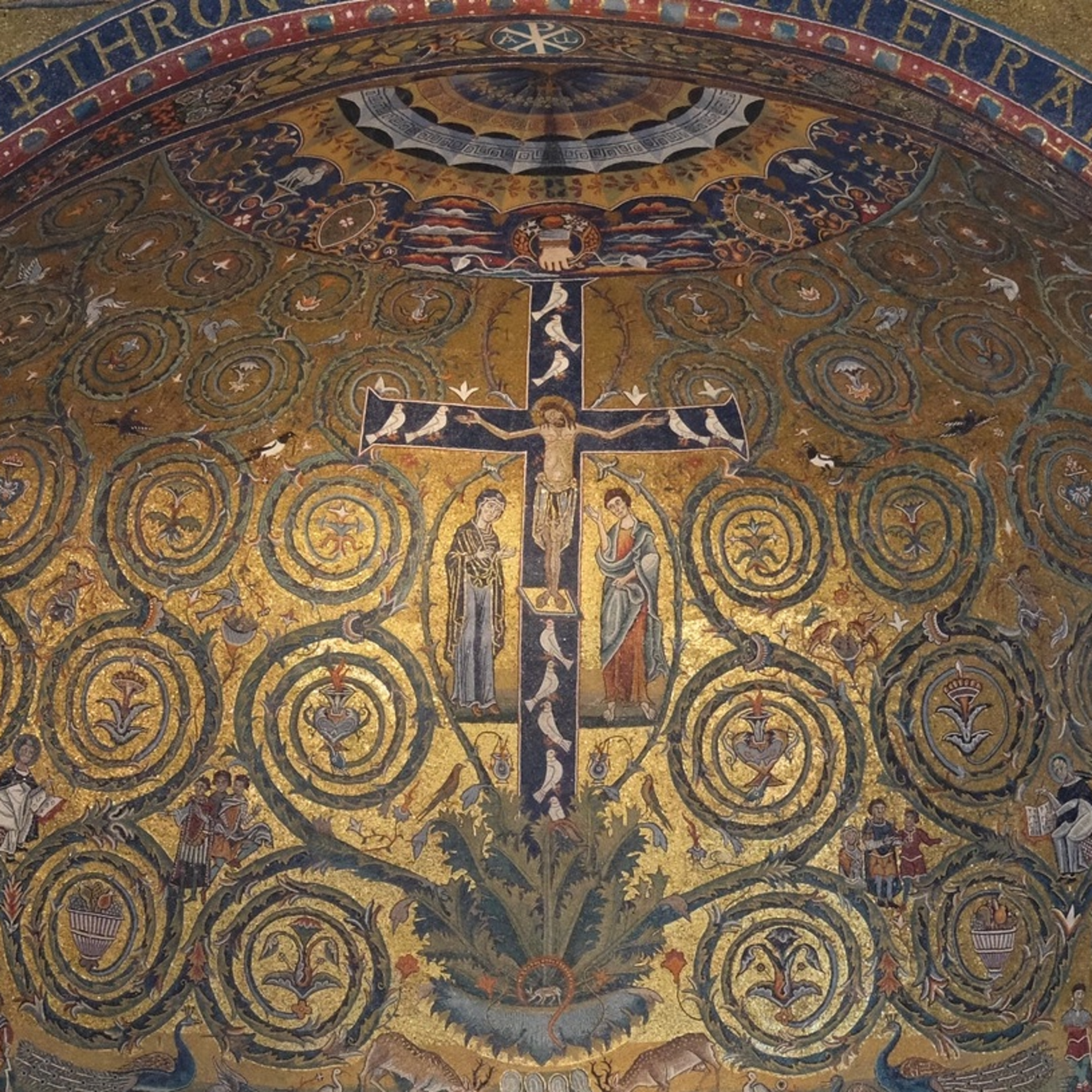 Remain united to the vine. Homily for 5th Sunday of Easter, April 28th, 2024 episode artwork