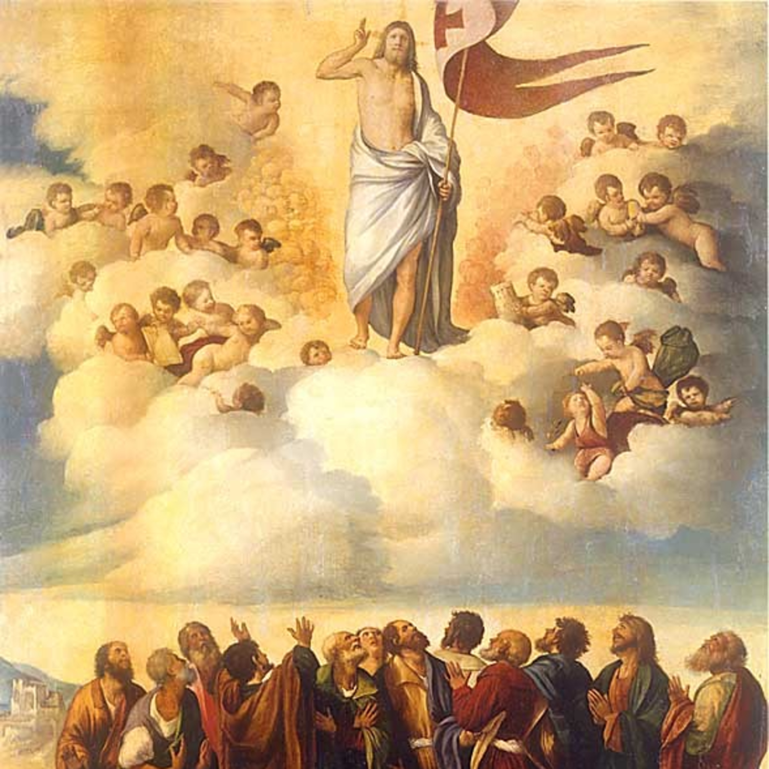 The Ascension: Feast of Promise and Power, homily for Ascension Sunday, May 12, 2024 episode artwork