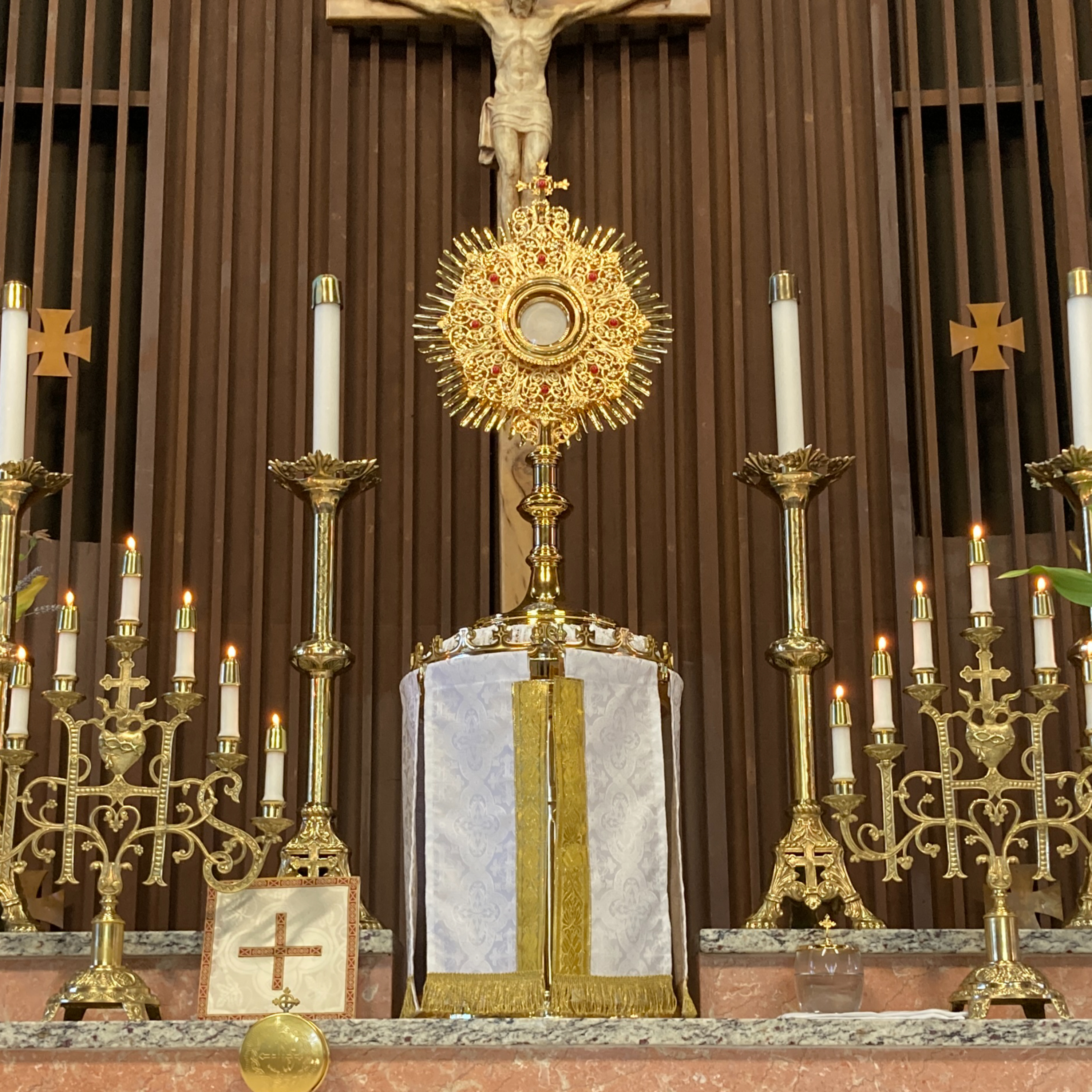 The Wondrous Mystery of the Holy Eucharist, homily for Corpus Christi Sunday, June 2nd, 2024 episode artwork