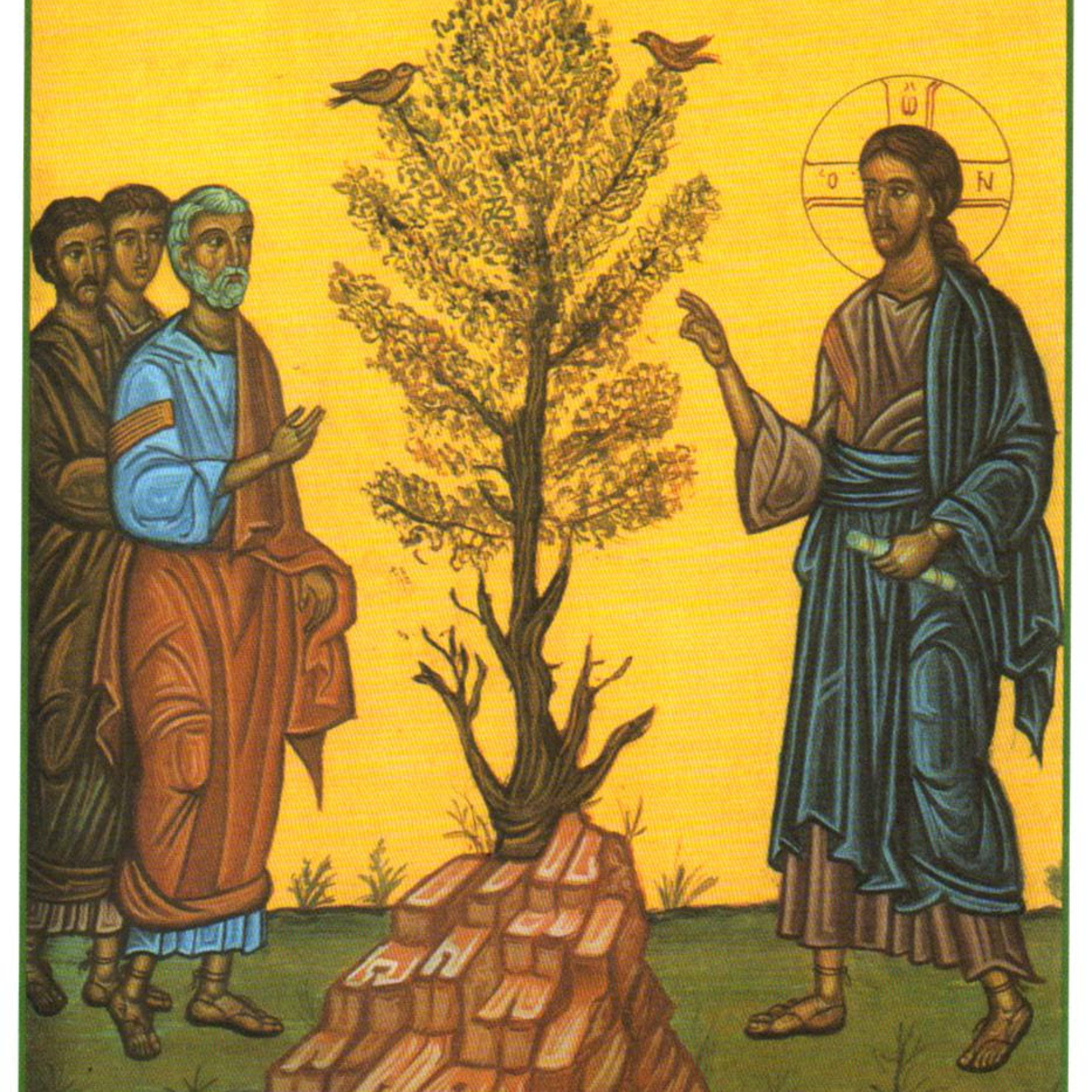 The Holiness of Fatherhood. Homily for 11th Sunday in Ordinary Time, June 16, 2024 episode artwork
