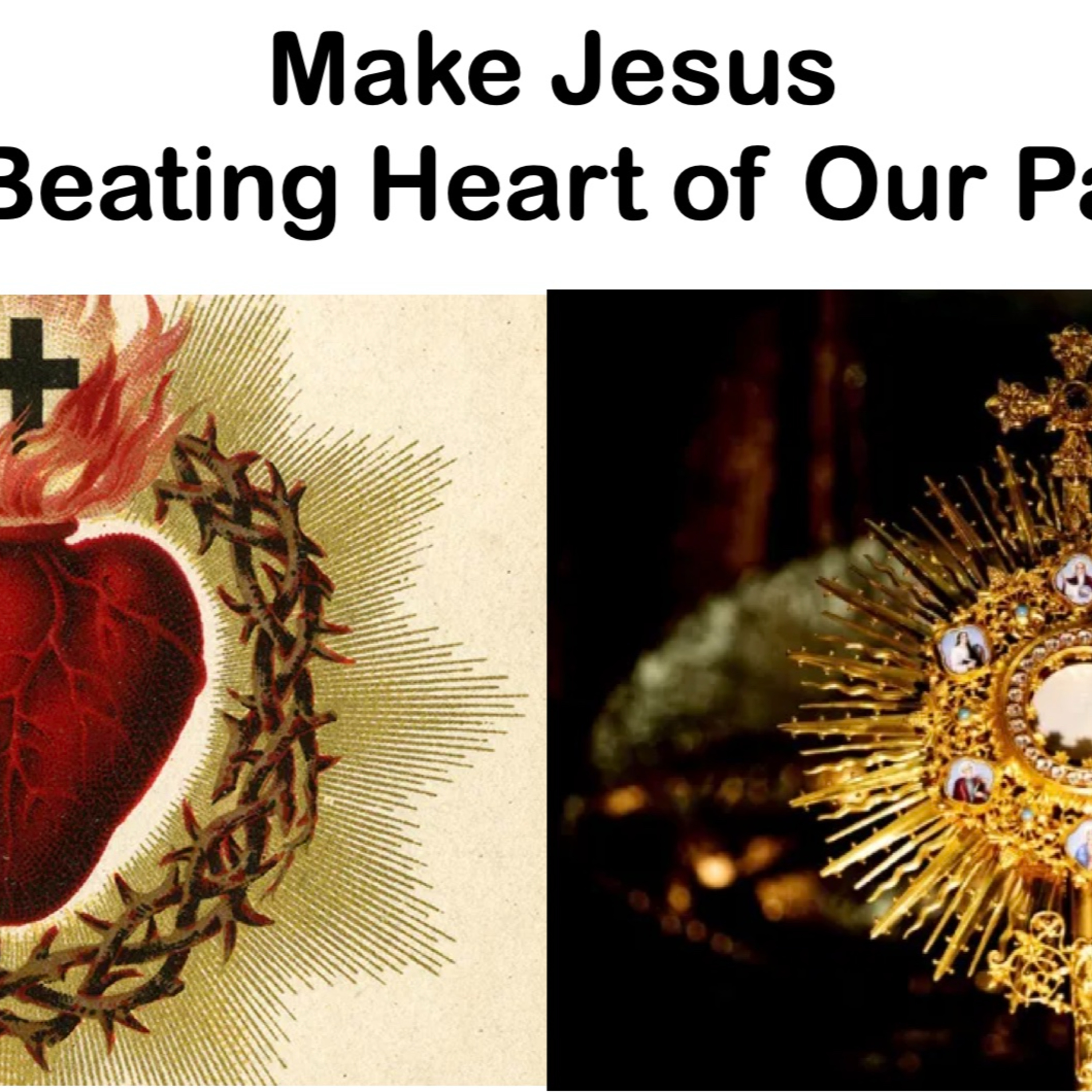 Stand erect, raise your heads, redemption is at hand. Homily for 1st Sunday of Advent, Dec. 1, 2024 episode artwork