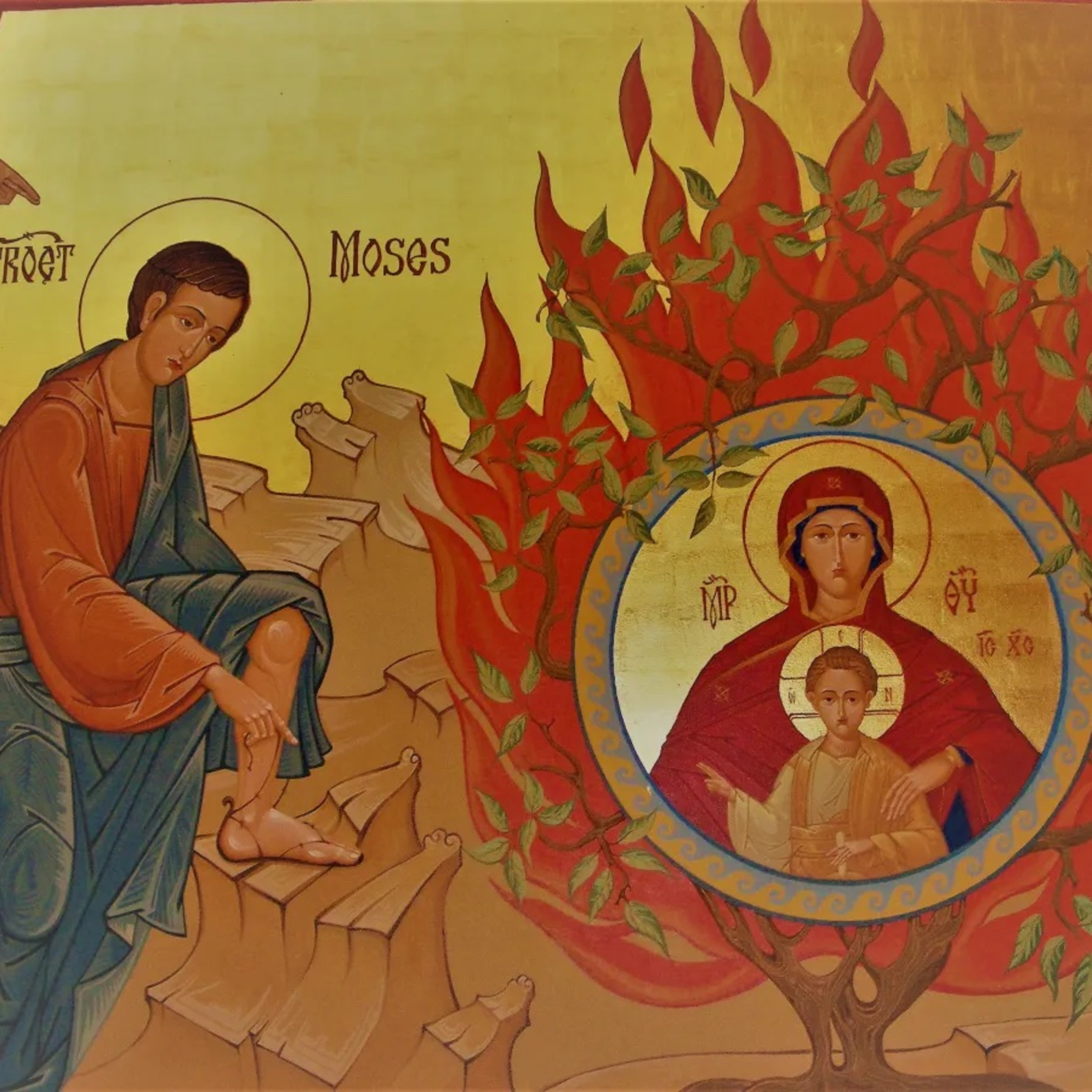 The Burning Bush - On Fire for Mission. Homily for 3rd Sunday in Lent, March 23, 2025 episode artwork