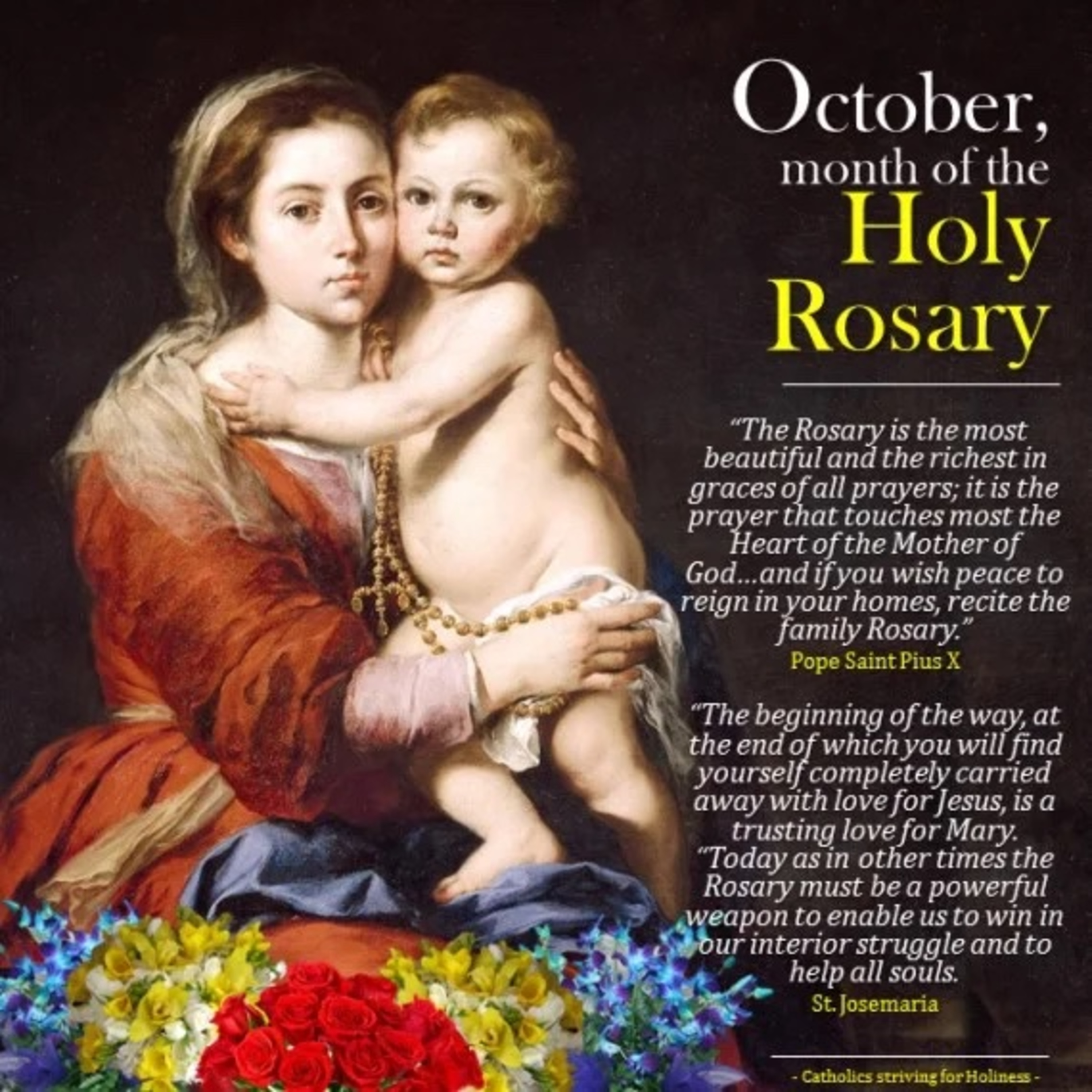 "Increase our faith." Homily for 27th Sunday in Ordinary Time, October 5, 2026 episode artwork