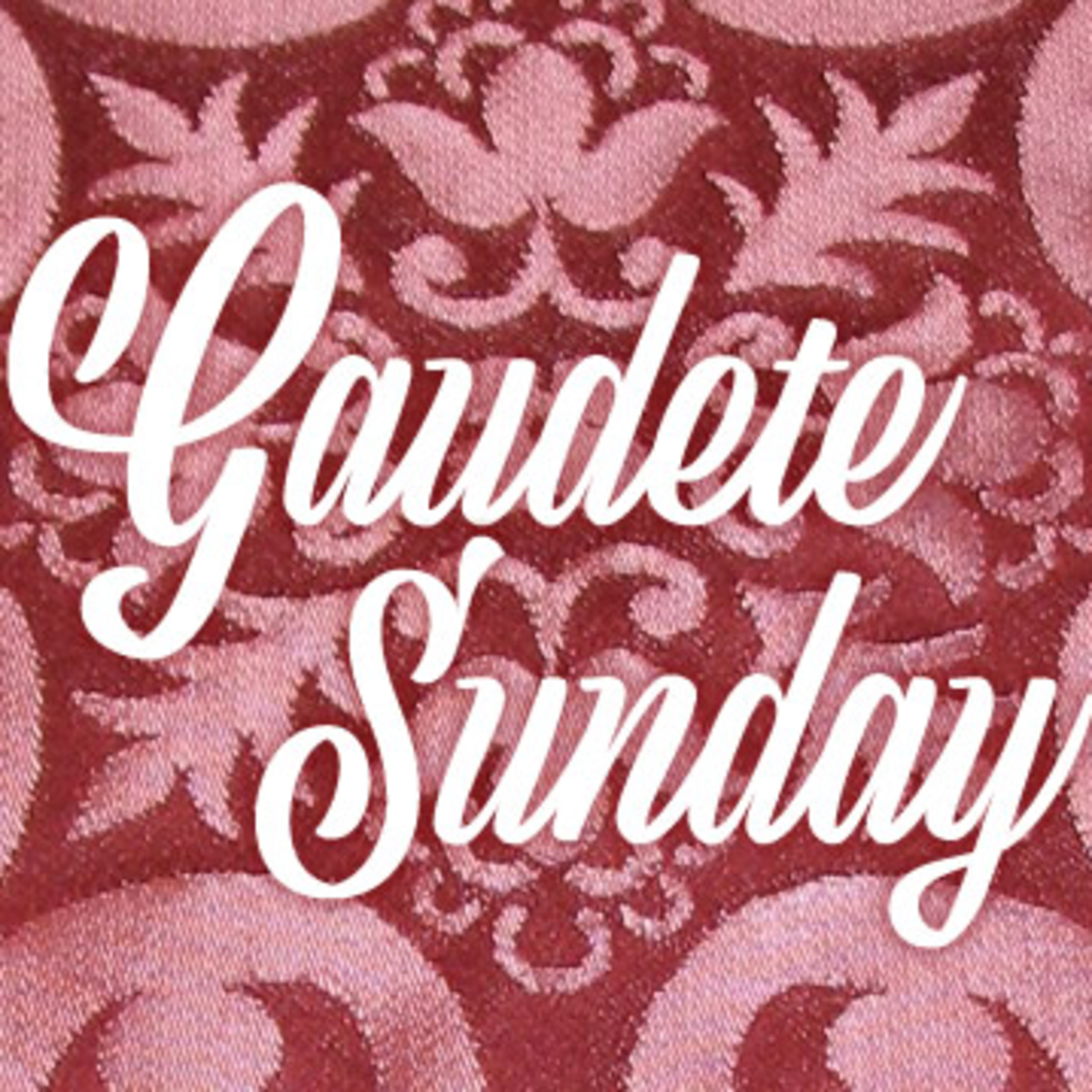 Preparing for our Advent Confession - homily for 3rd Sunday of Advent, 12/14/25 episode artwork