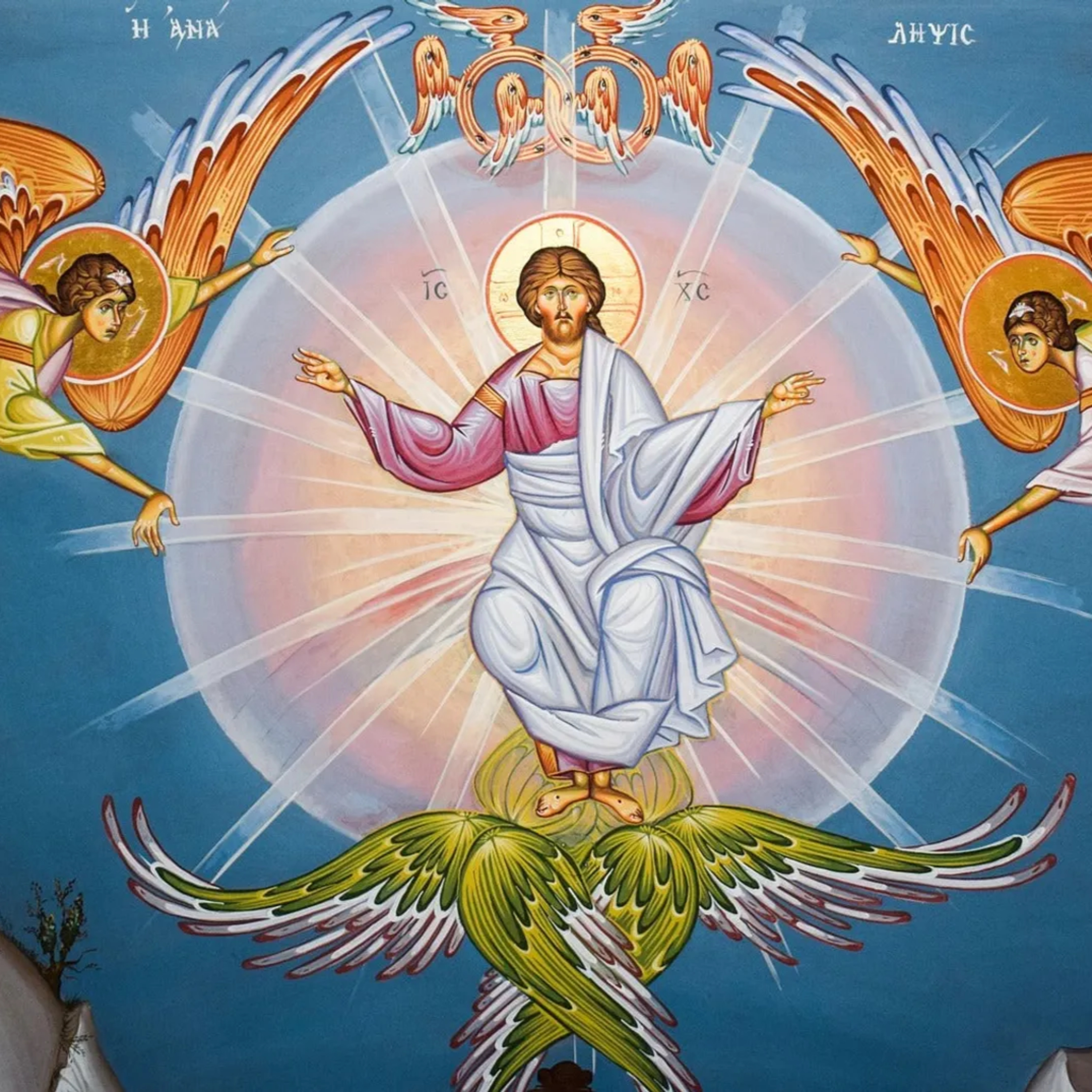 The Kingdom of the Church spreads by witness. Homily for Ascension Sunday, May 17, 2026 episode artwork