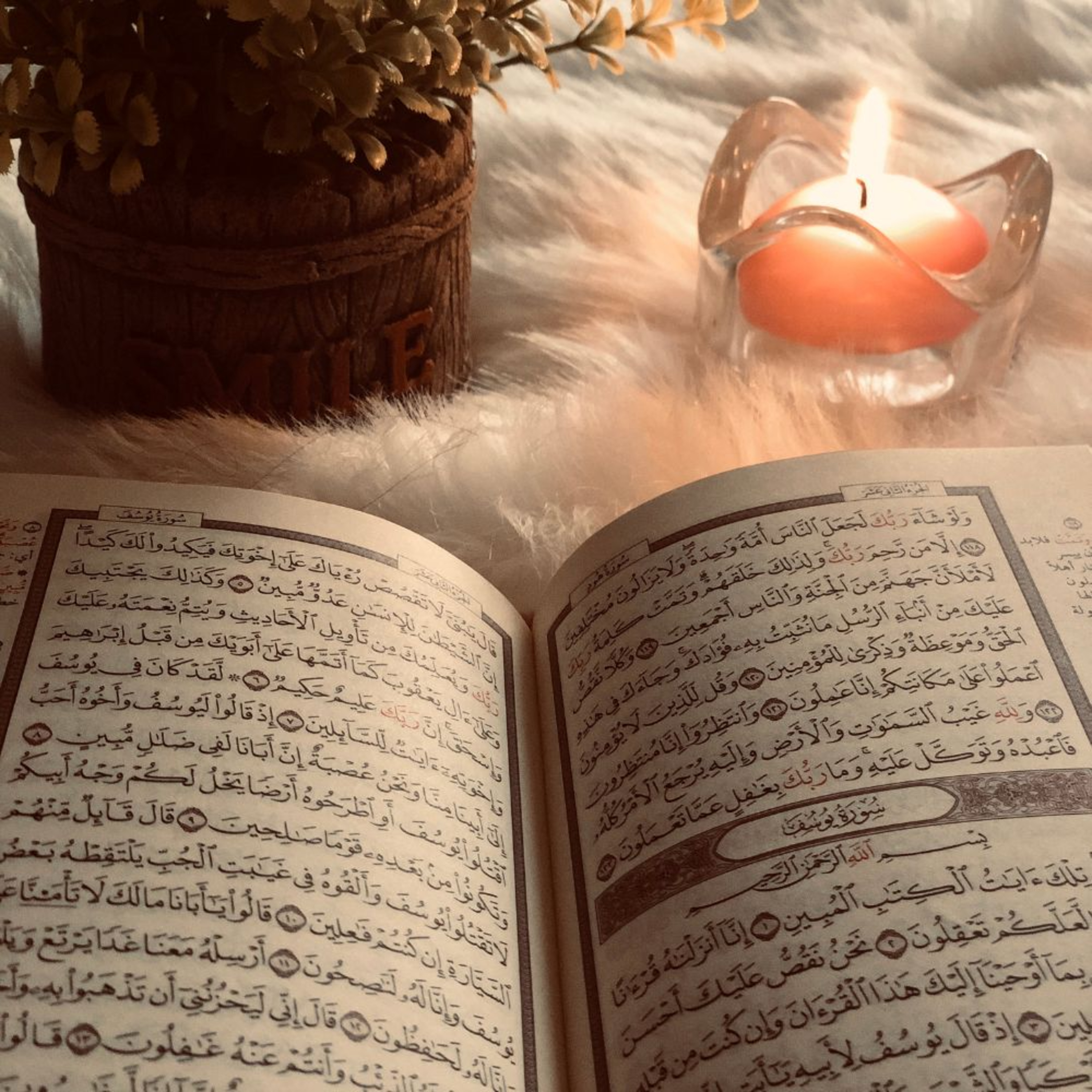 Living In Accordance With The Quran episode artwork