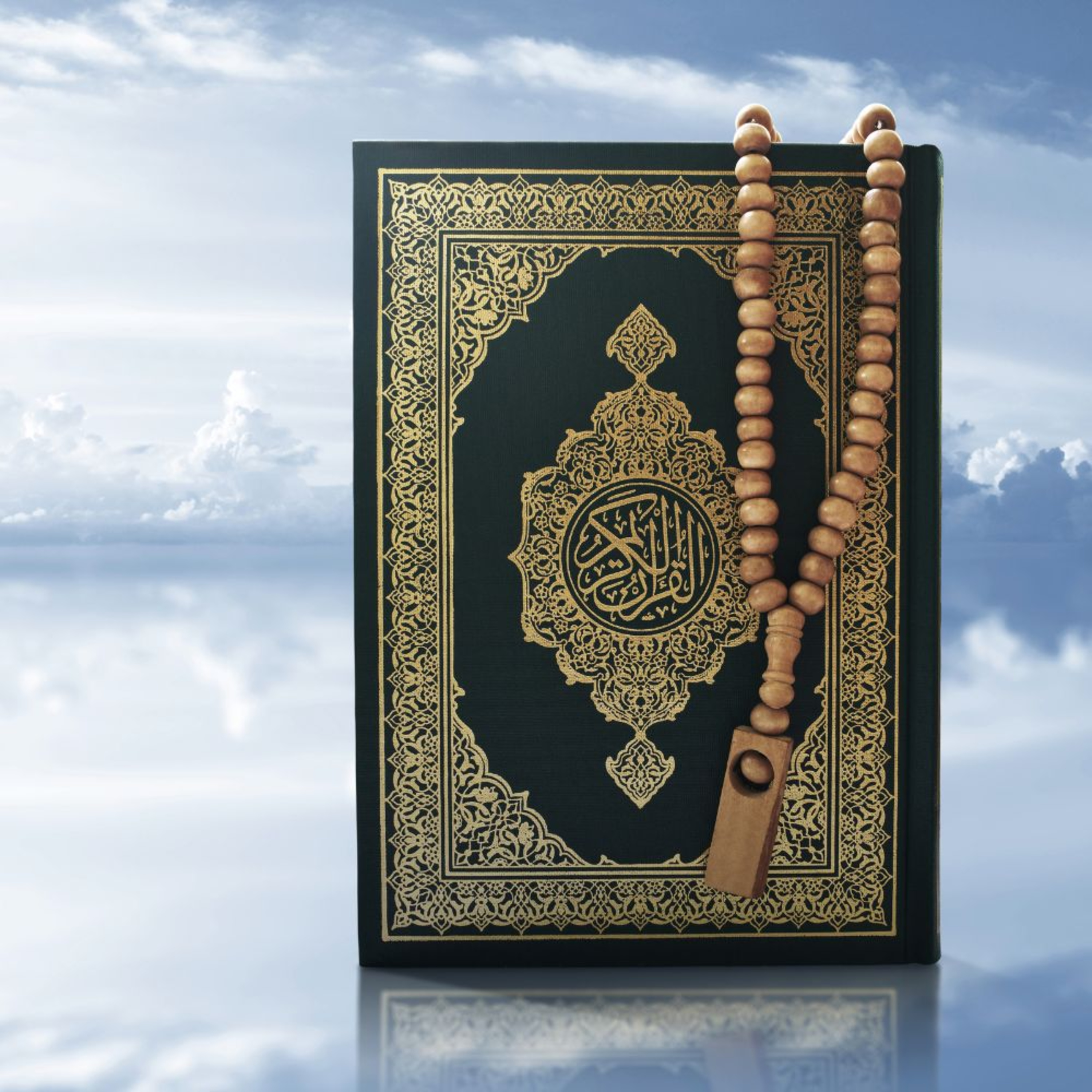 Quran in English - Chapter 16 The Bee. episode artwork