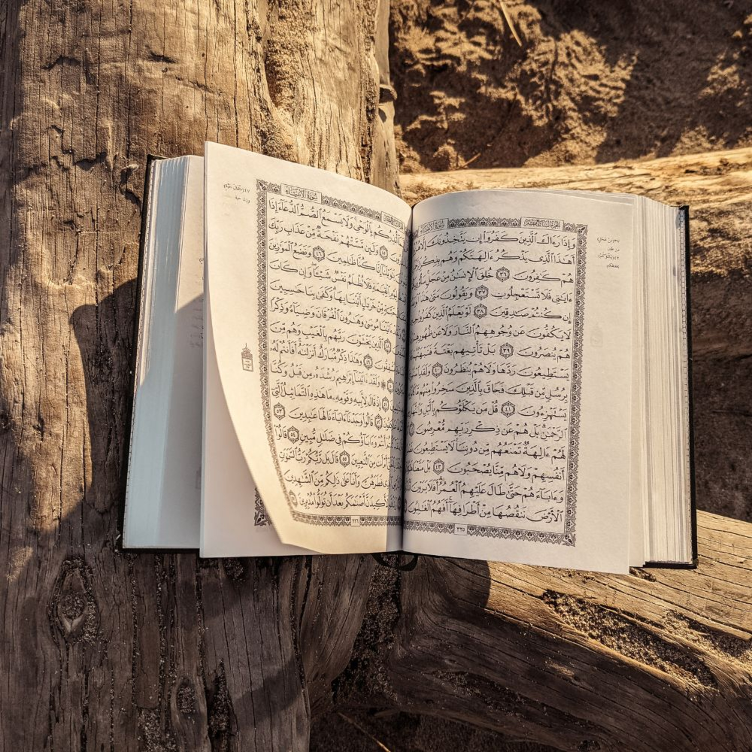 Koran auf Deutsch - Kapitel 4 - Frauen episode artwork