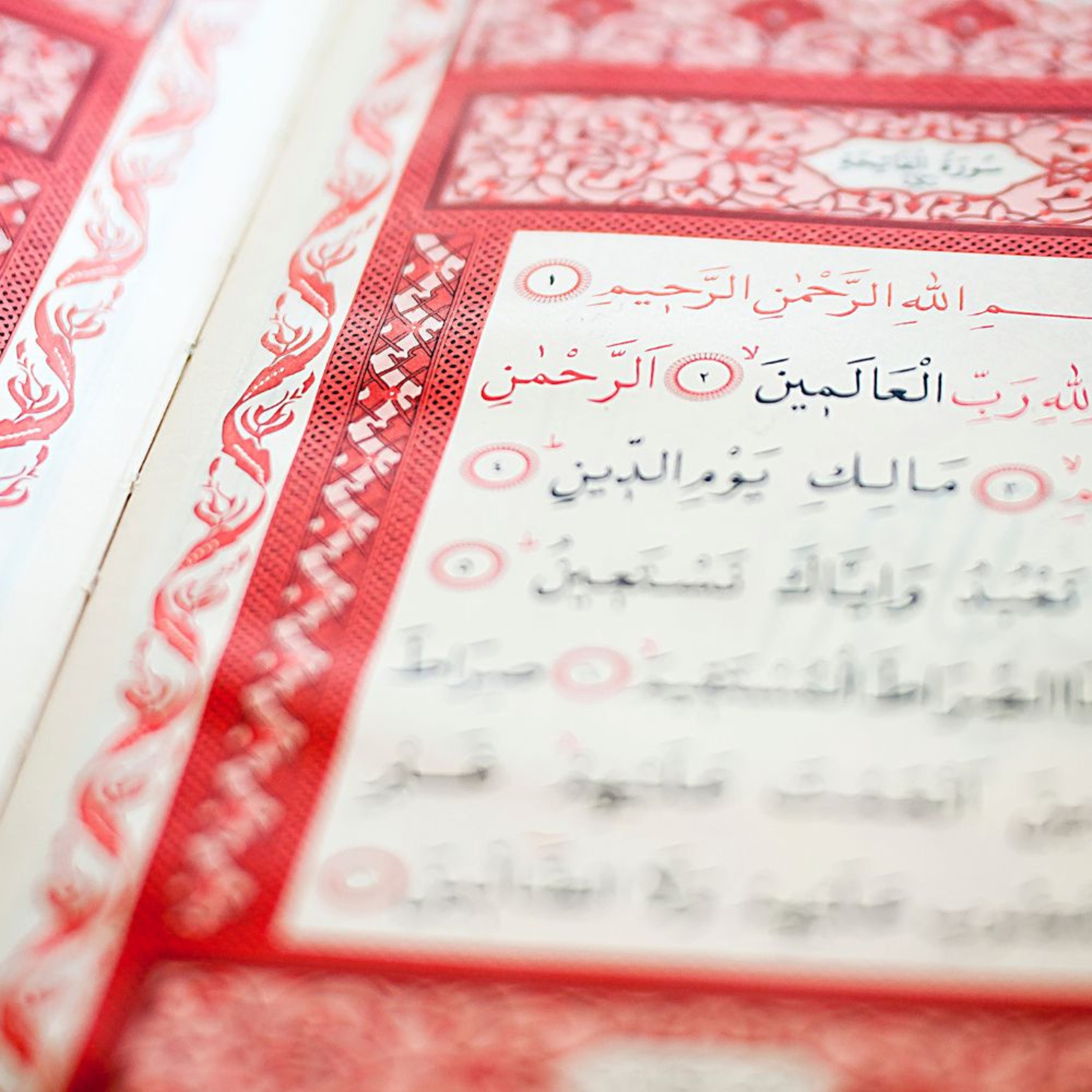 Koran auf Deutsch - Kapitel 6 - Viehbestand episode artwork