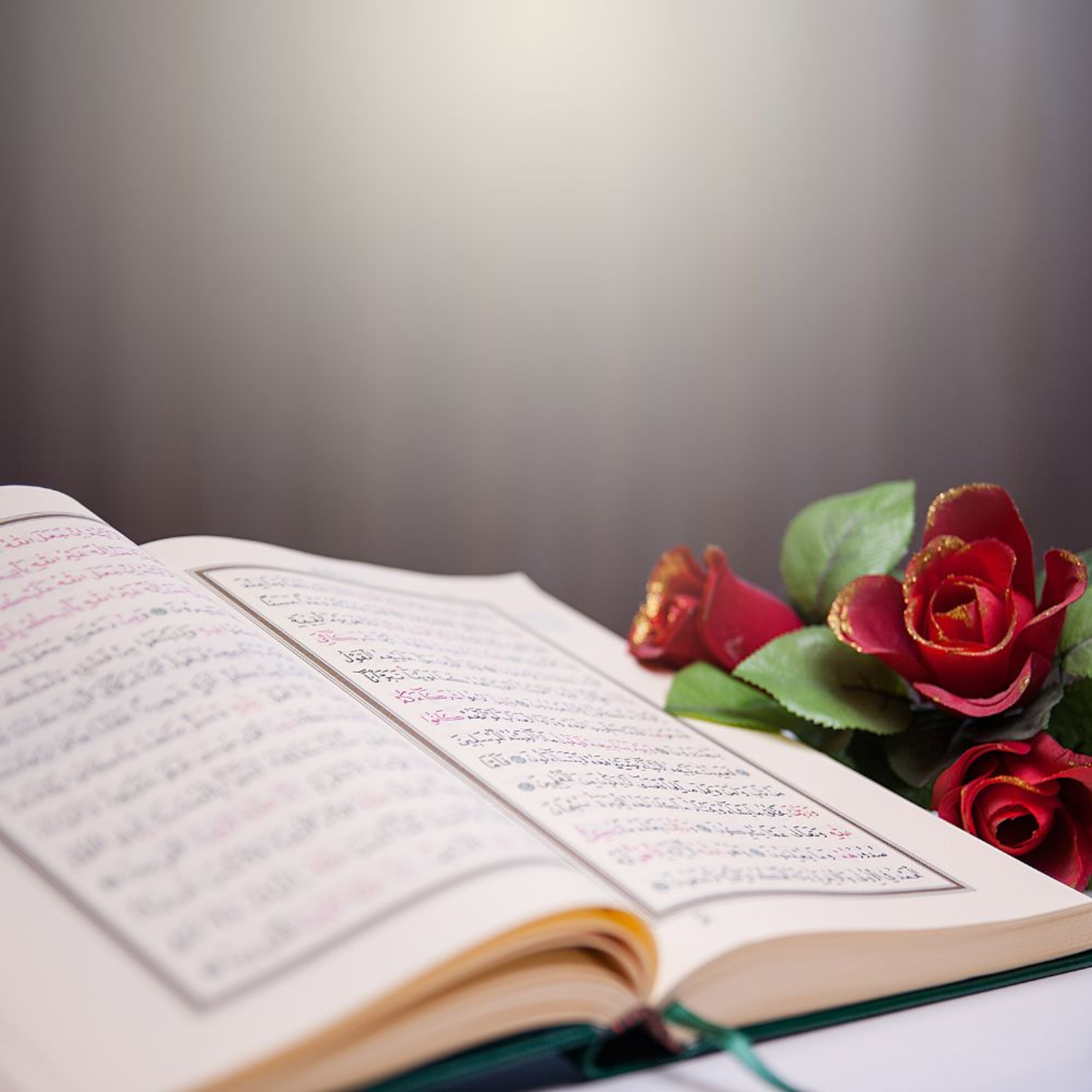 Multilingual Islam Connect