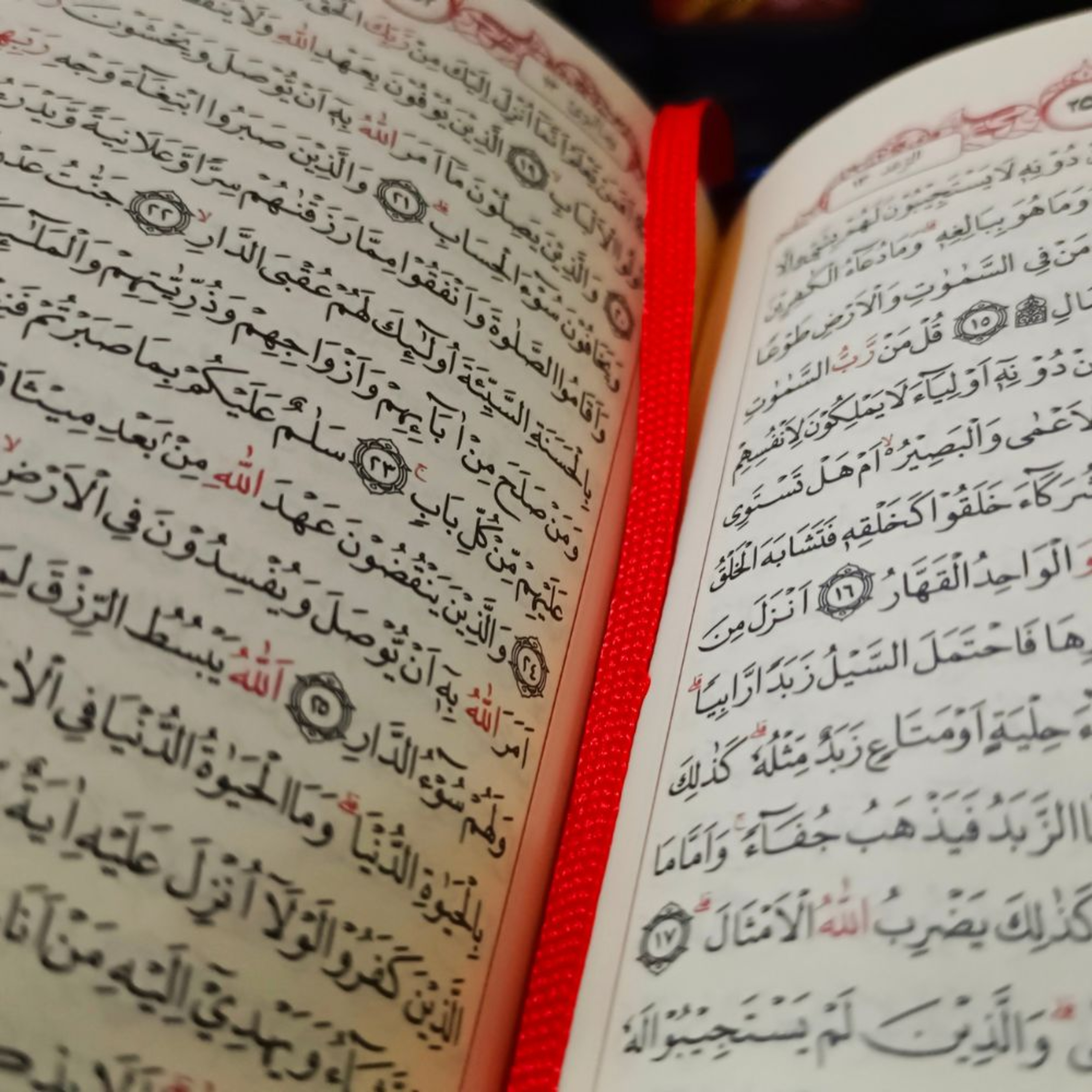 Multilingual Islam Connect