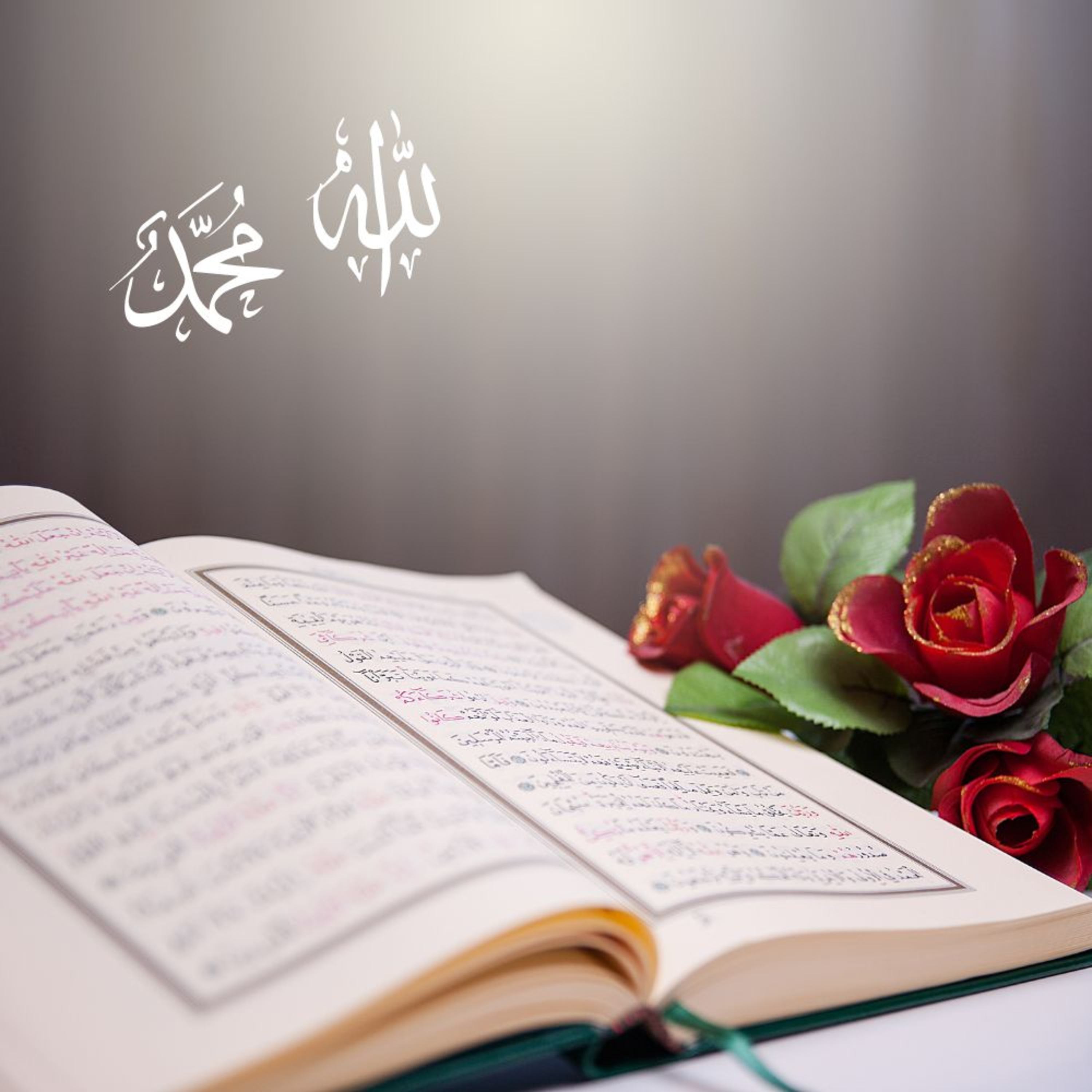 Multilingual Islam Connect