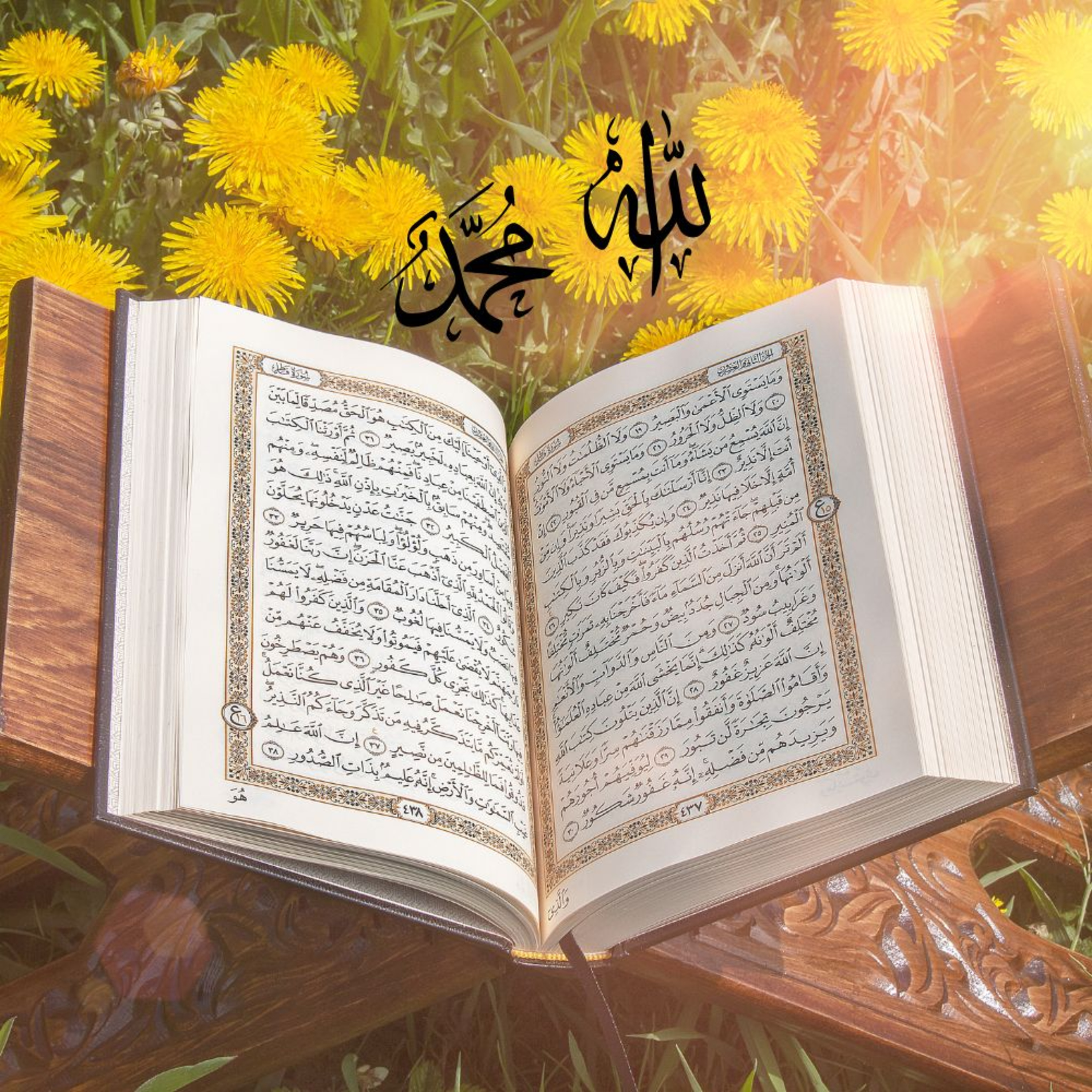 Koran in het Nederlands - Hoofdstuk 4 Vrouwen episode artwork