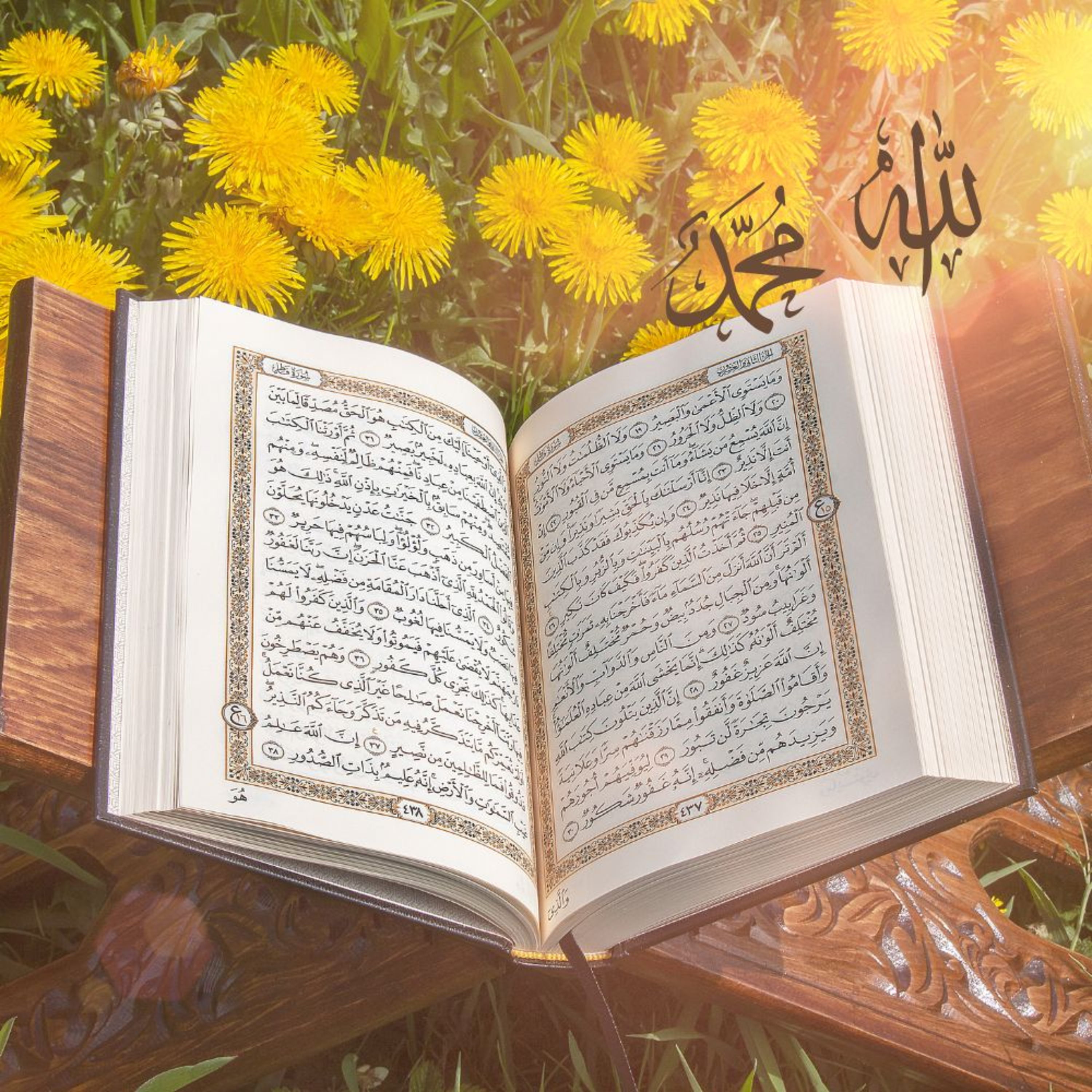Multilingual Islam Connect