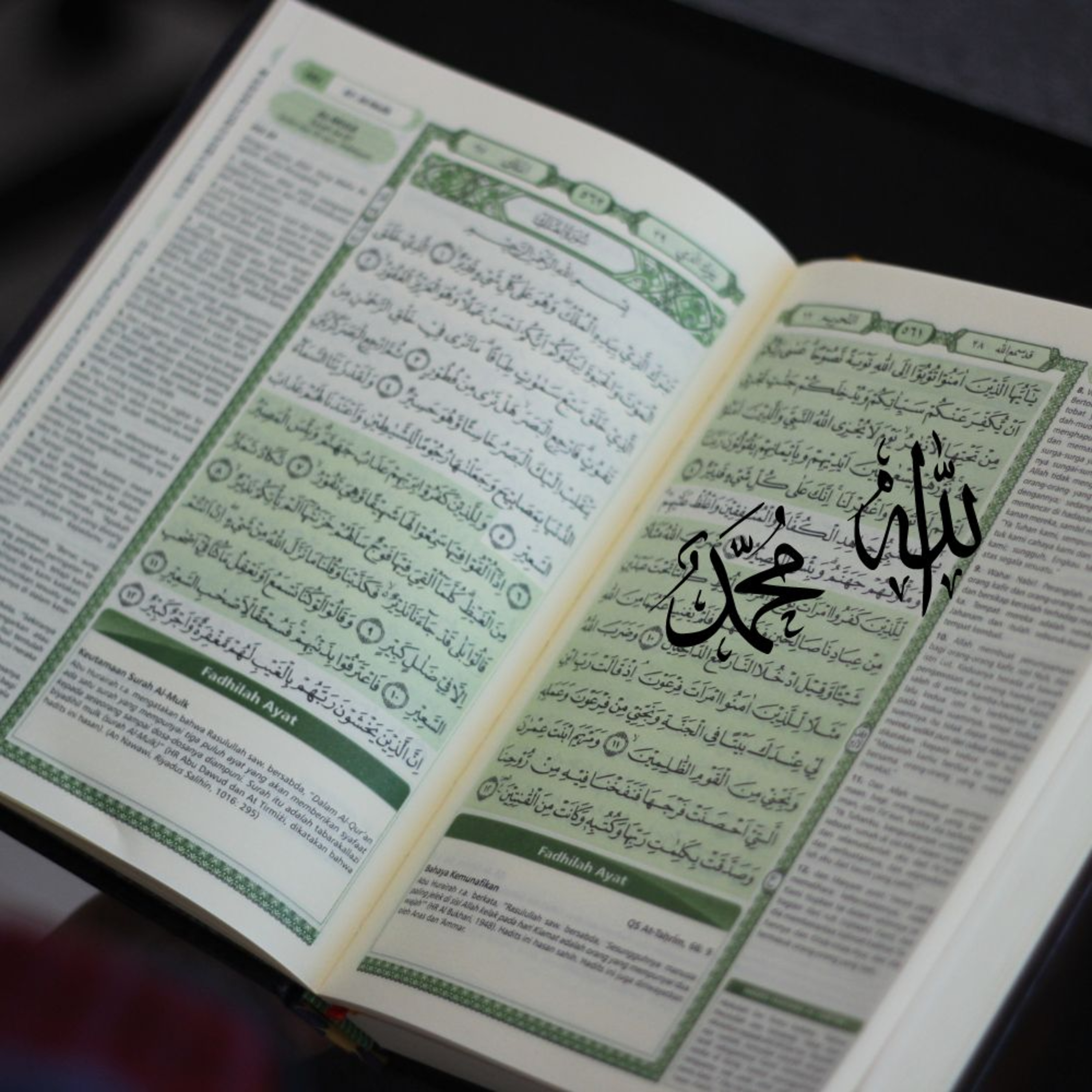 Multilingual Islam Connect