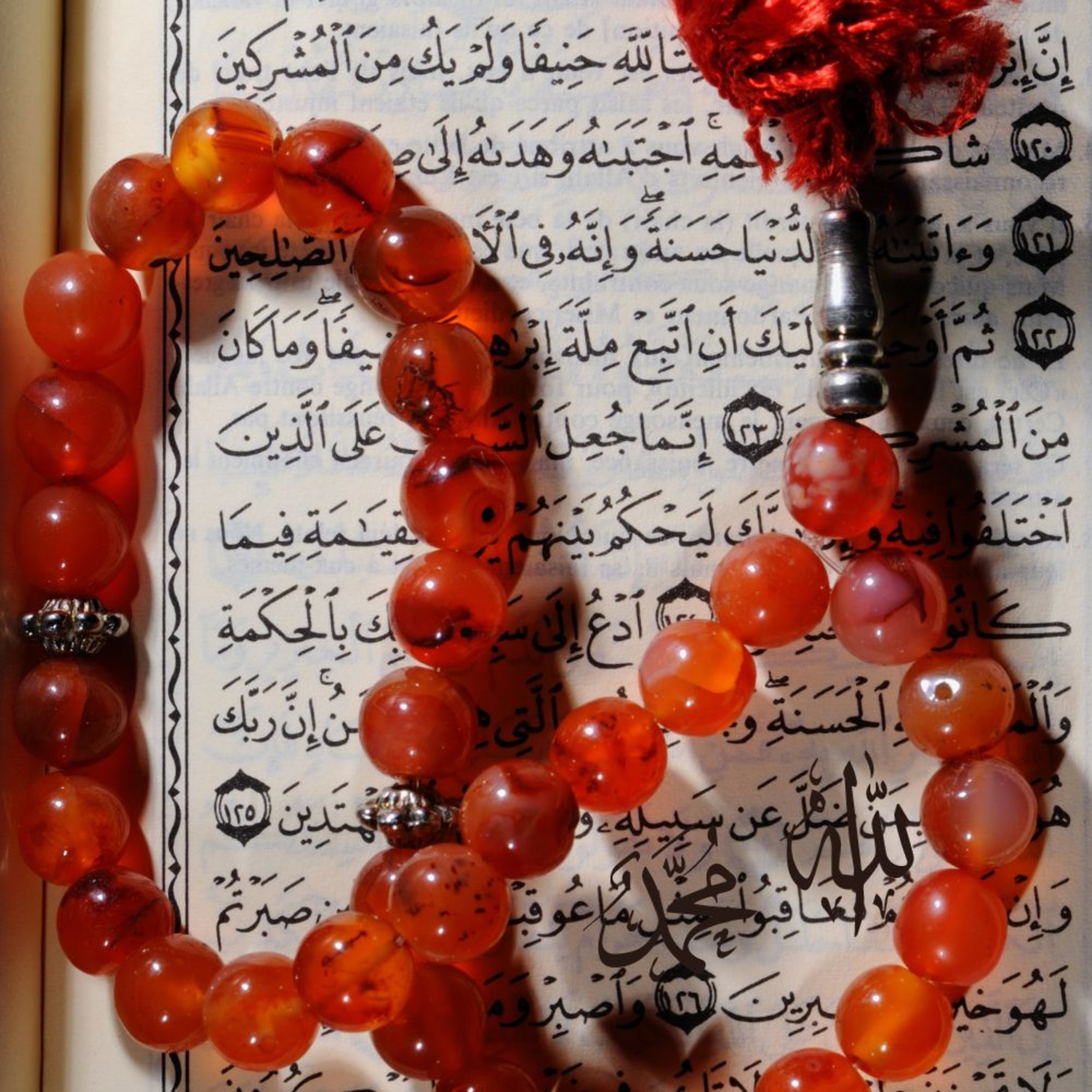 Multilingual Islam Connect