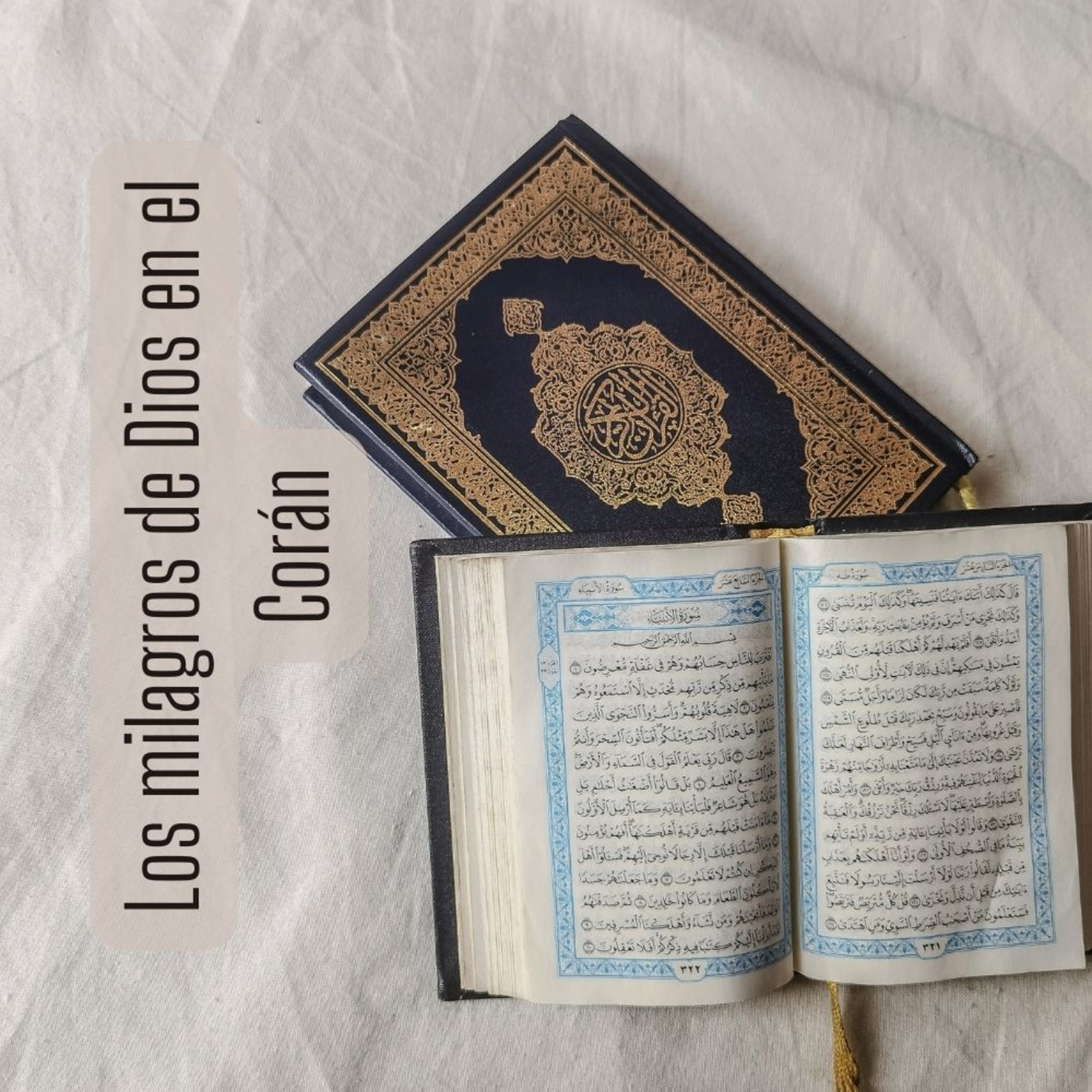 Multilingual Islam Connect