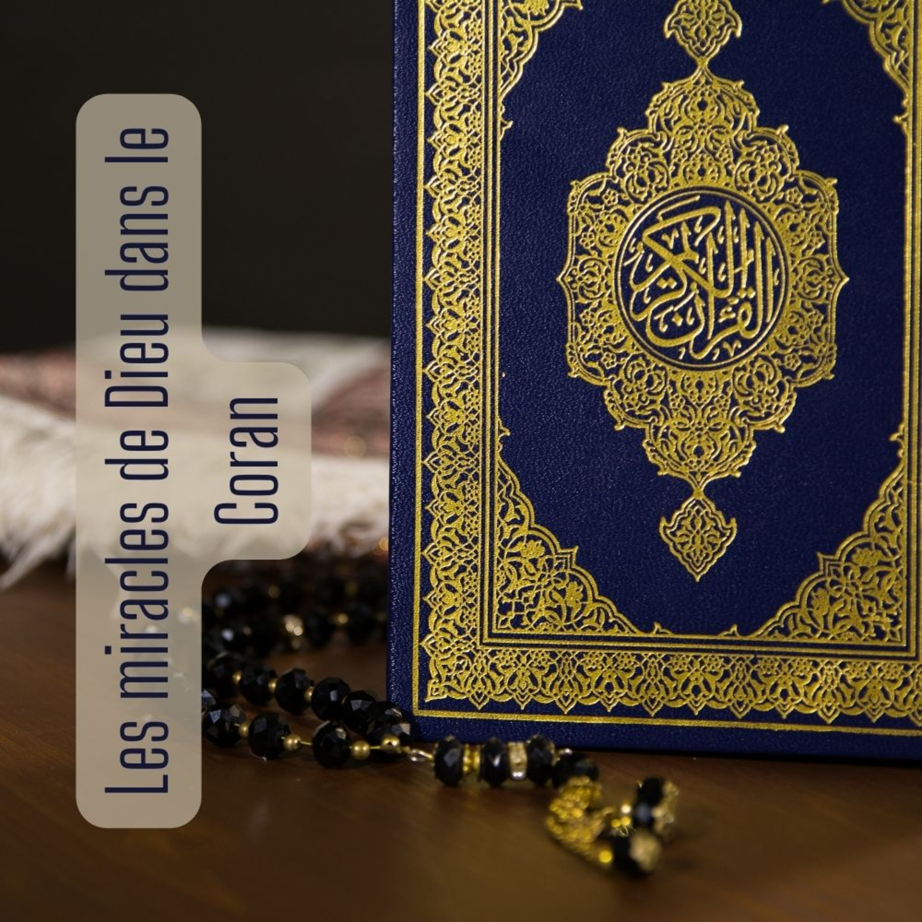 Multilingual Islam Connect