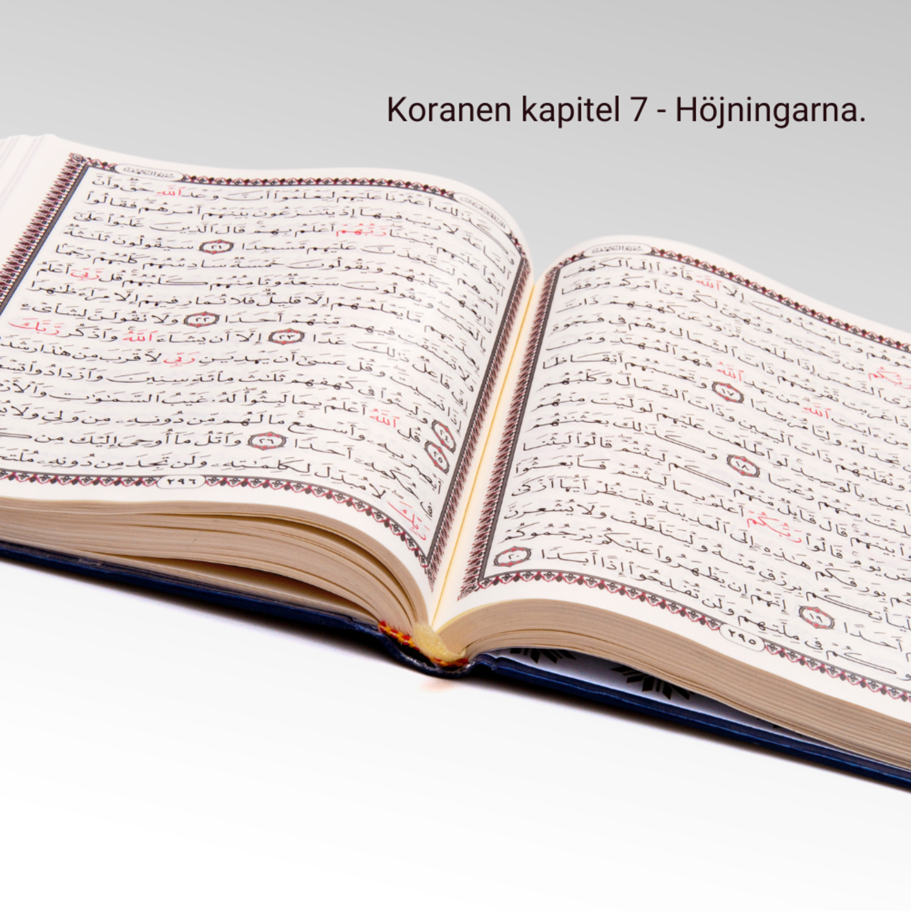 Multilingual Islam Connect