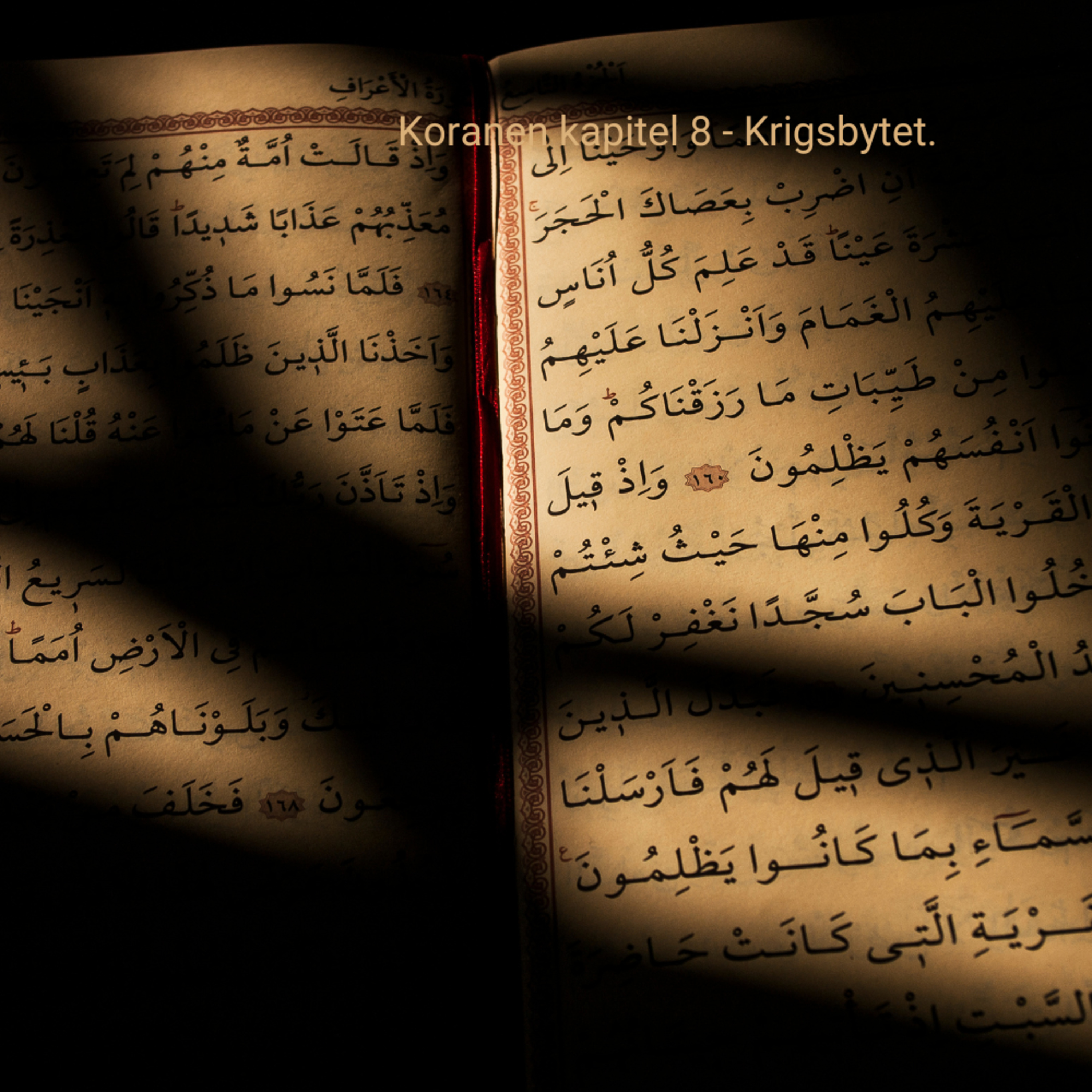 Multilingual Islam Connect