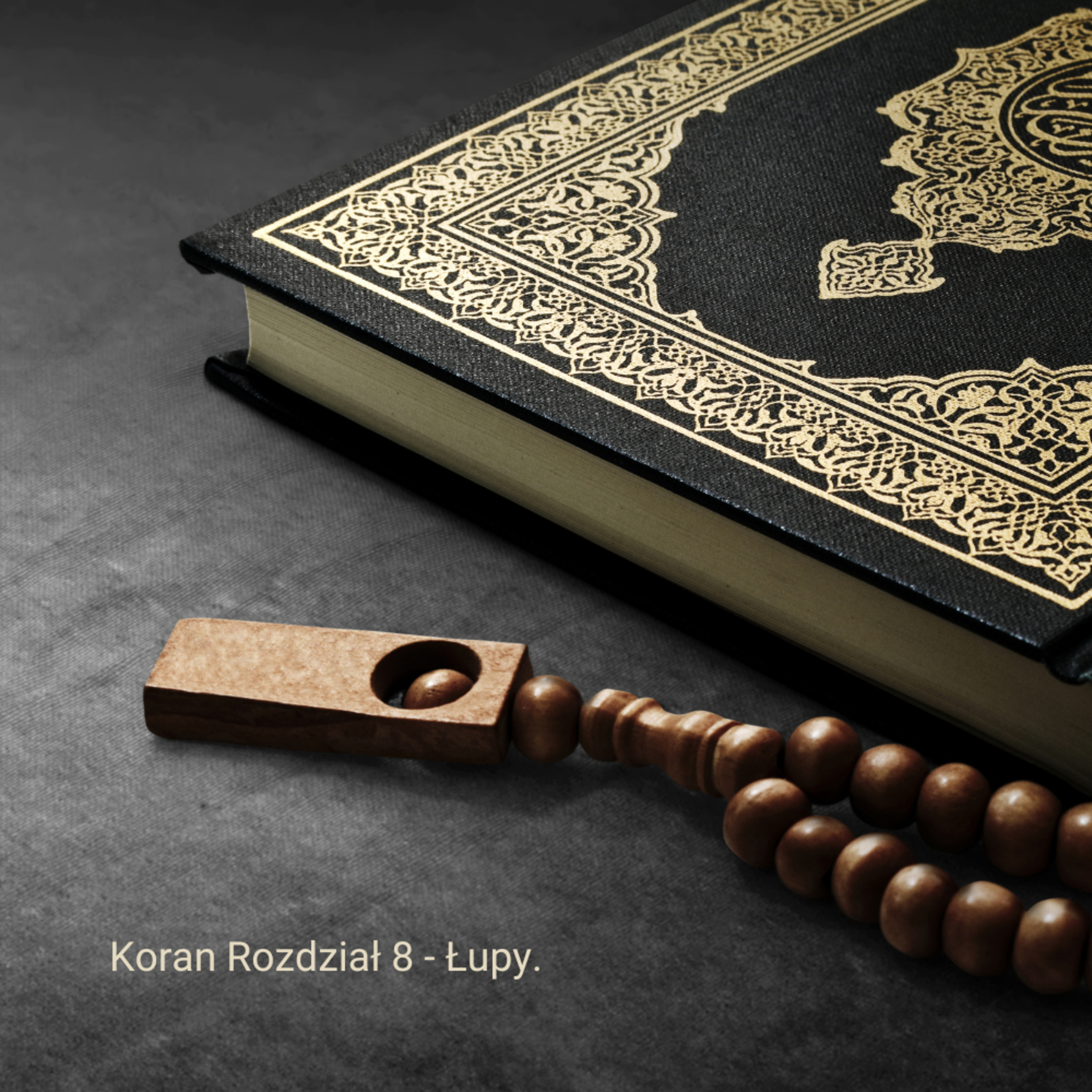 Multilingual Islam Connect