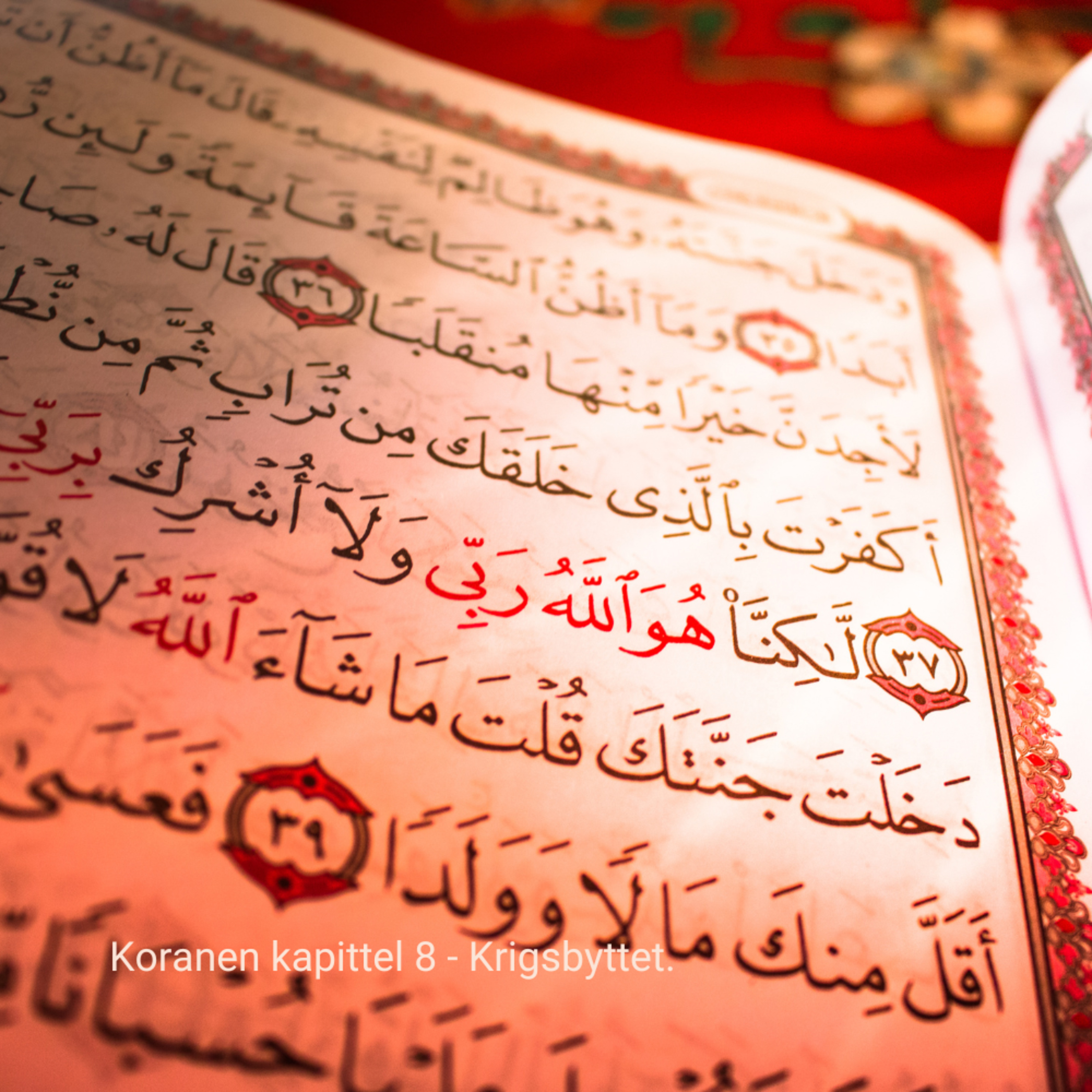 Multilingual Islam Connect