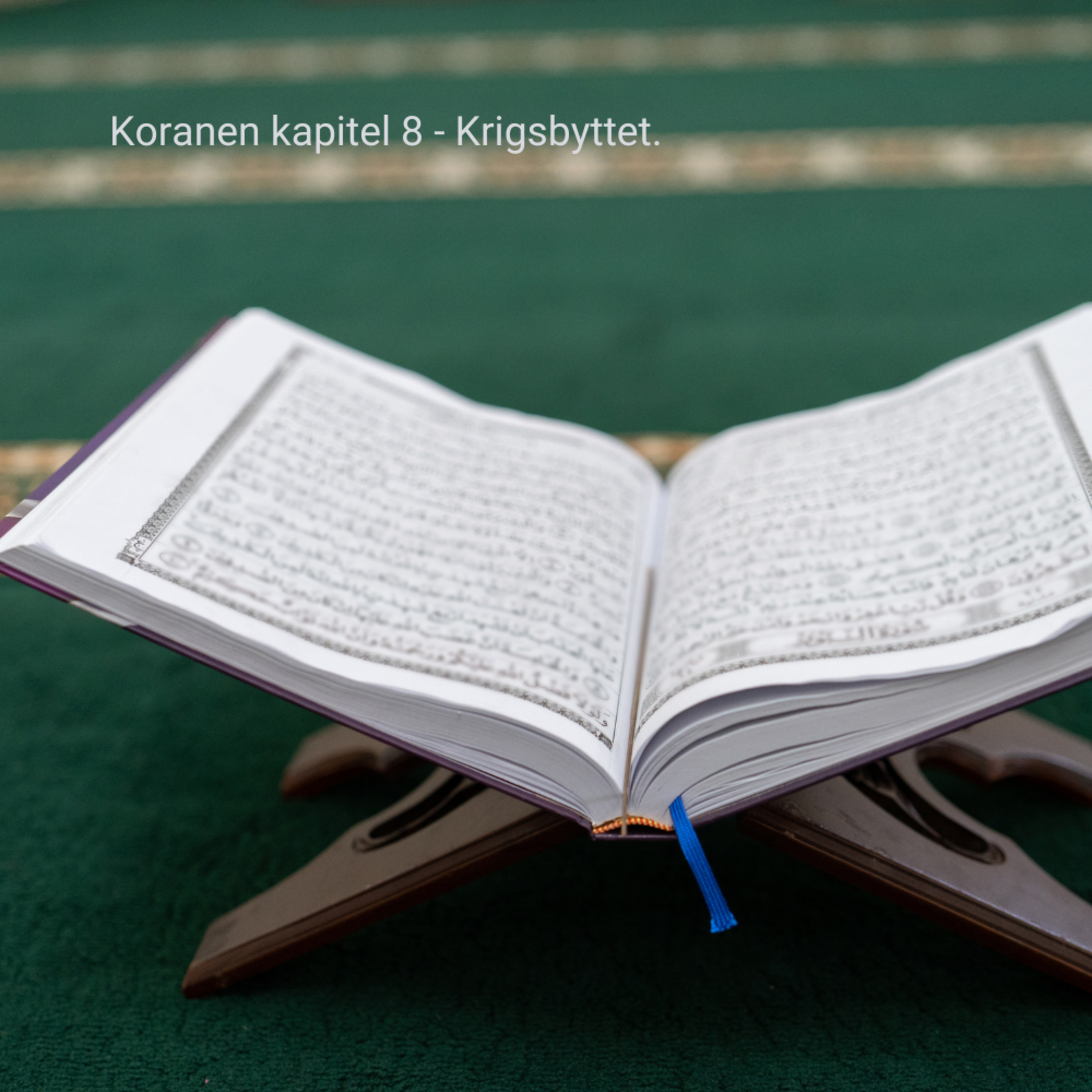Multilingual Islam Connect
