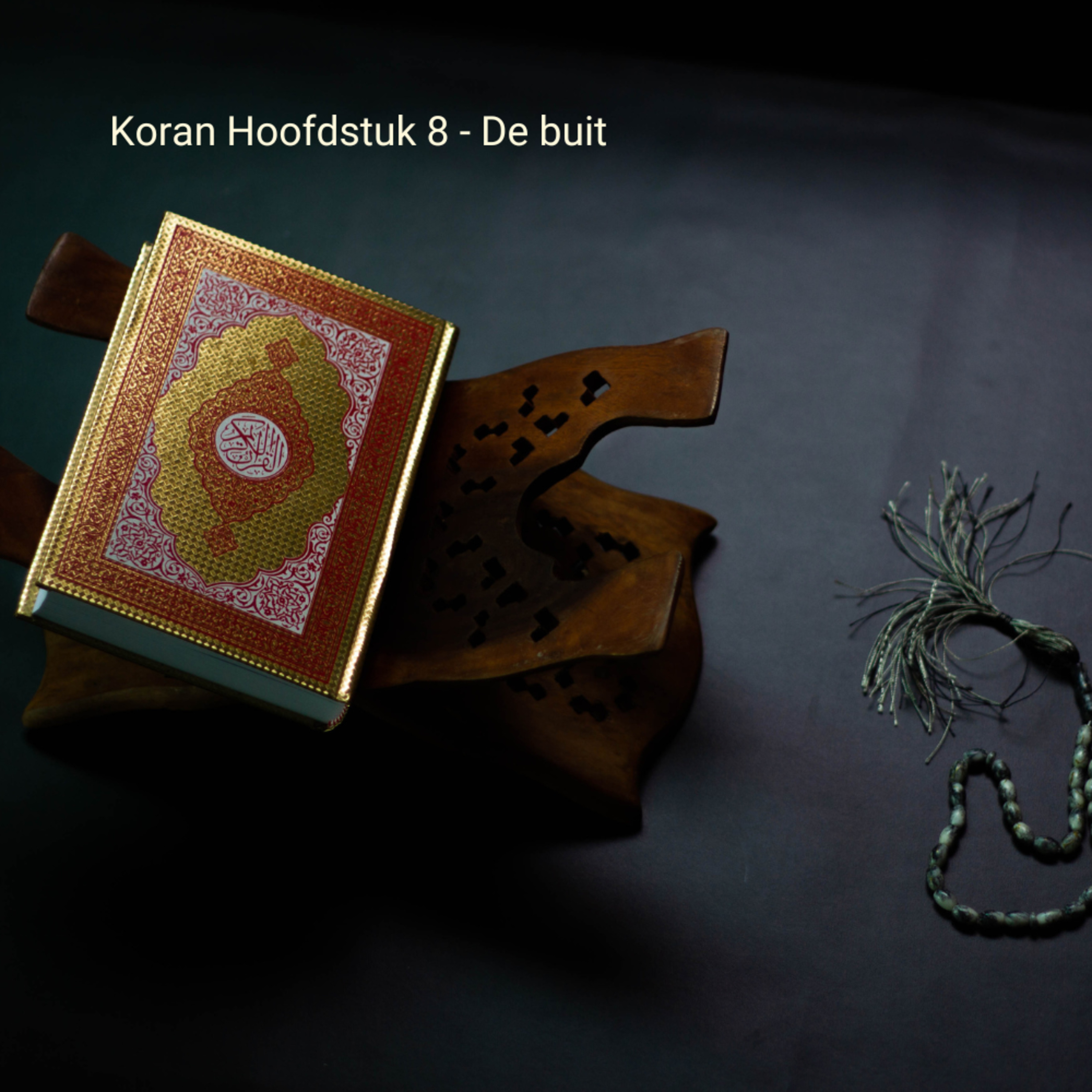 Koran in het Nederlands - Hoofdstuk 8 De buit  episode artwork