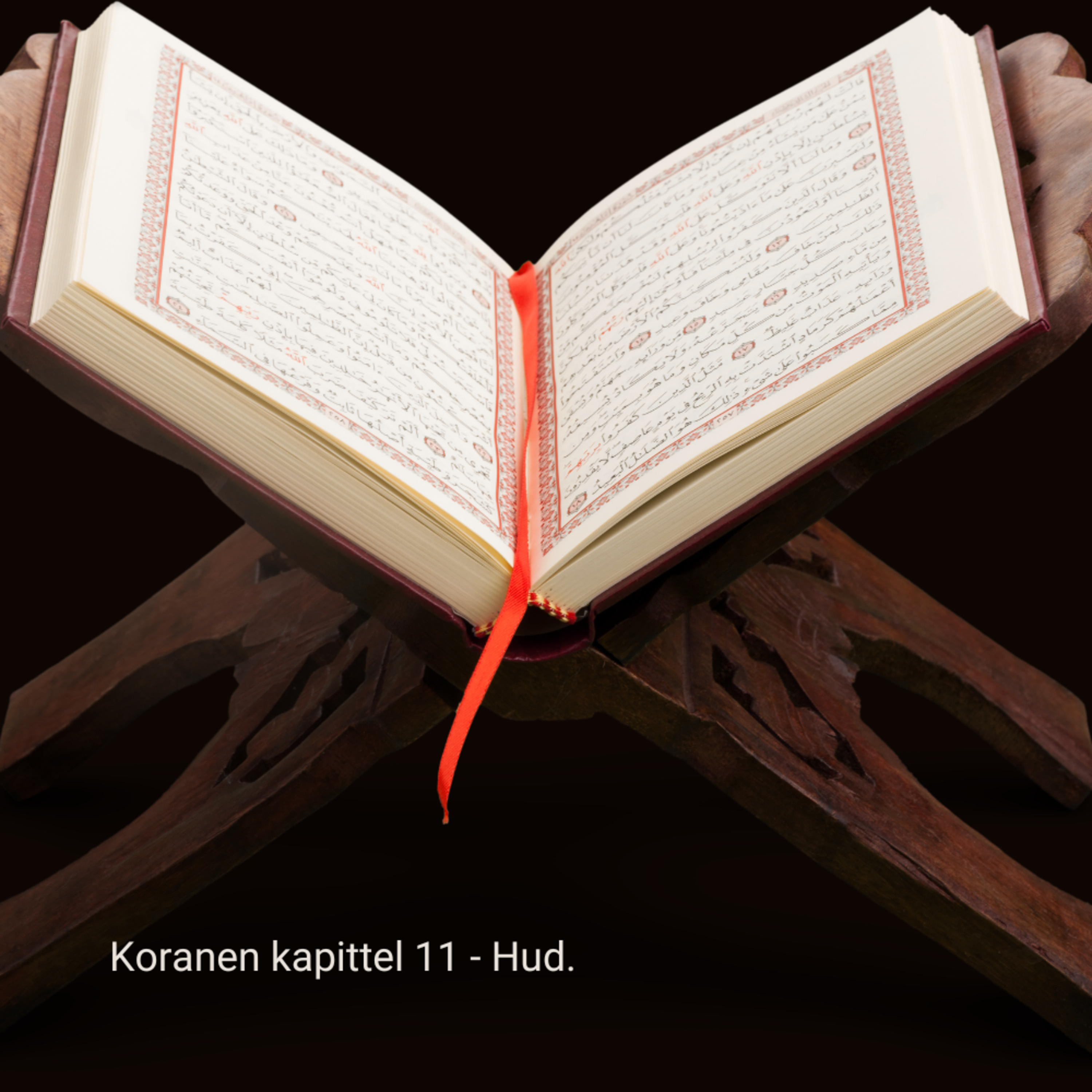 Multilingual Islam Connect