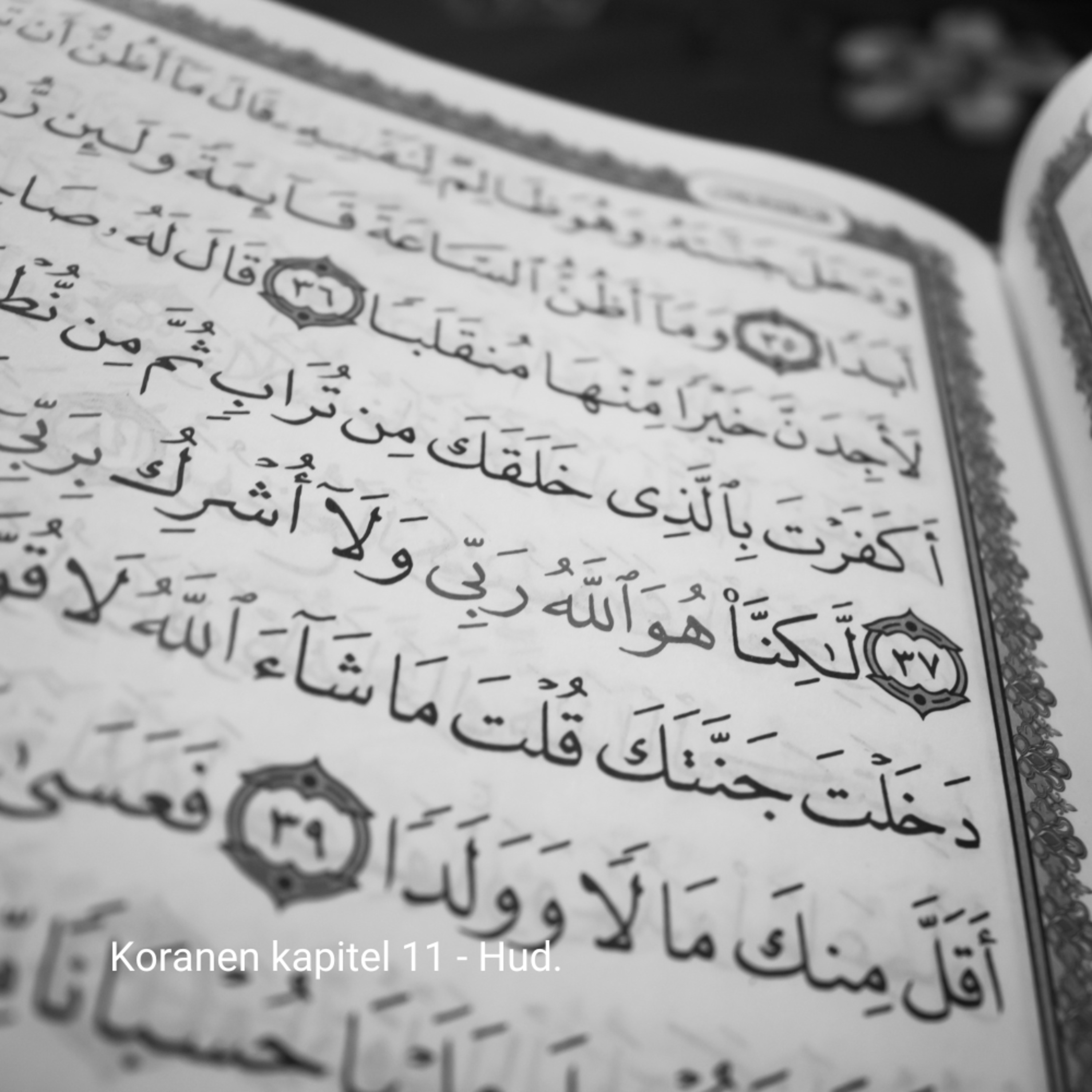 Multilingual Islam Connect