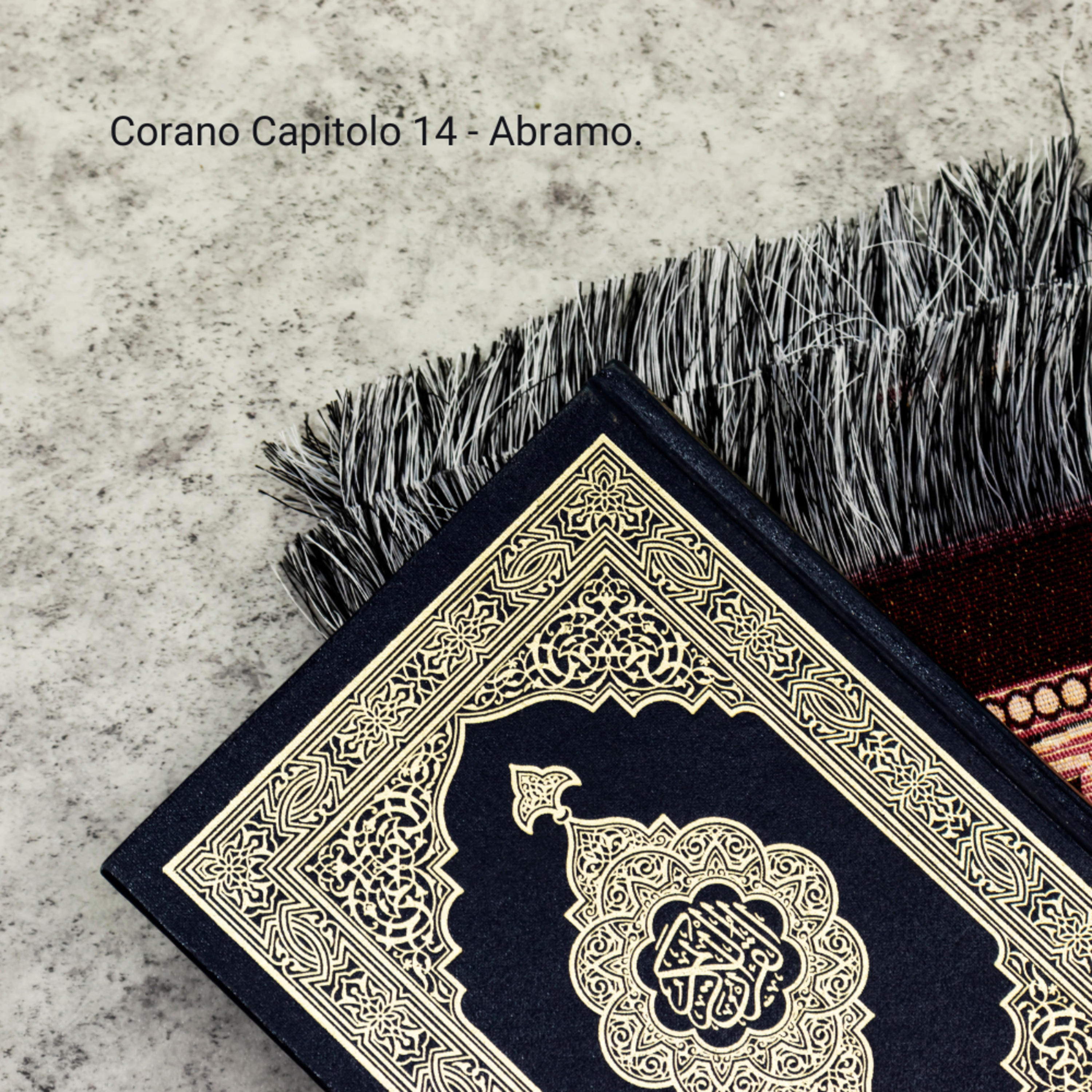 Corano in italiano - Capitolo 14 Abramo. episode artwork