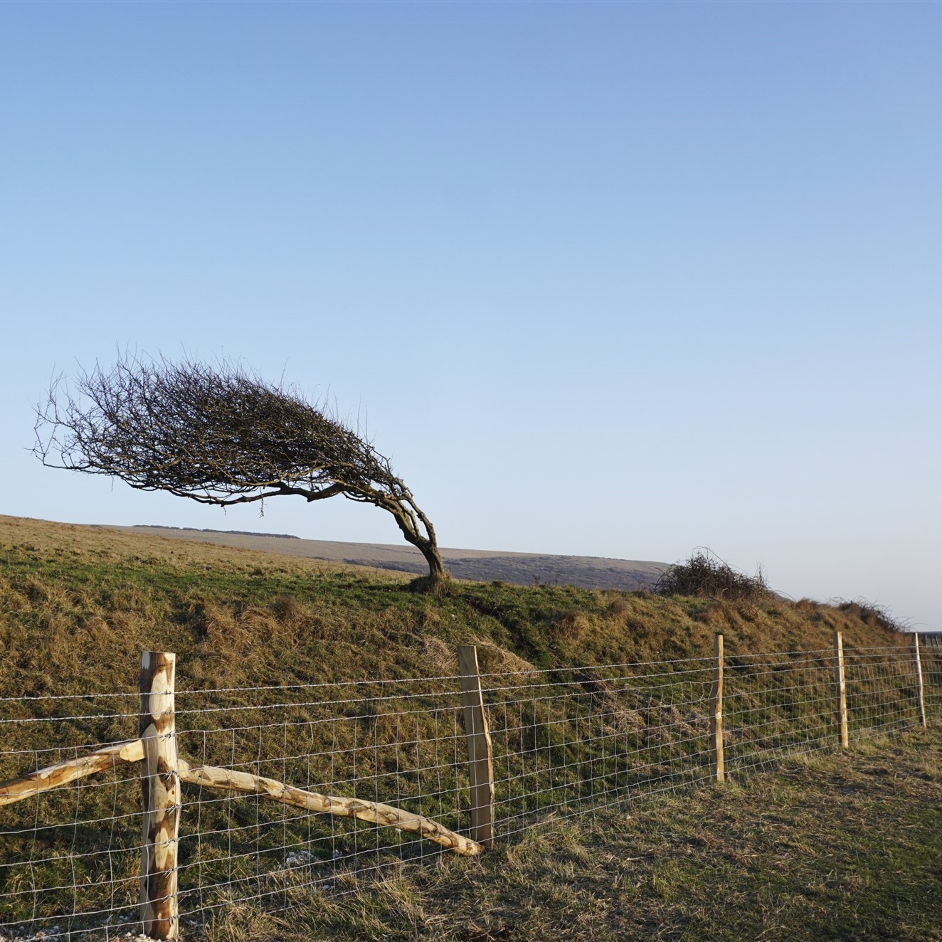 Gusty Wind - 10 Hours Sleep Sound