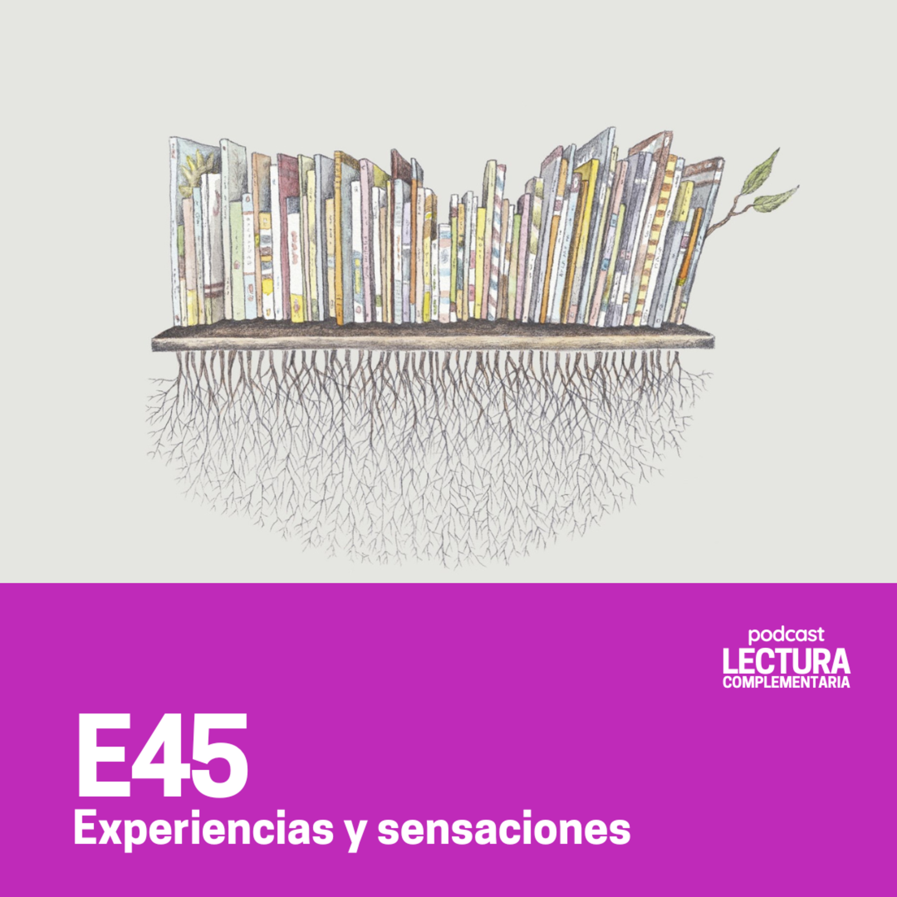Lectura Complementaria
