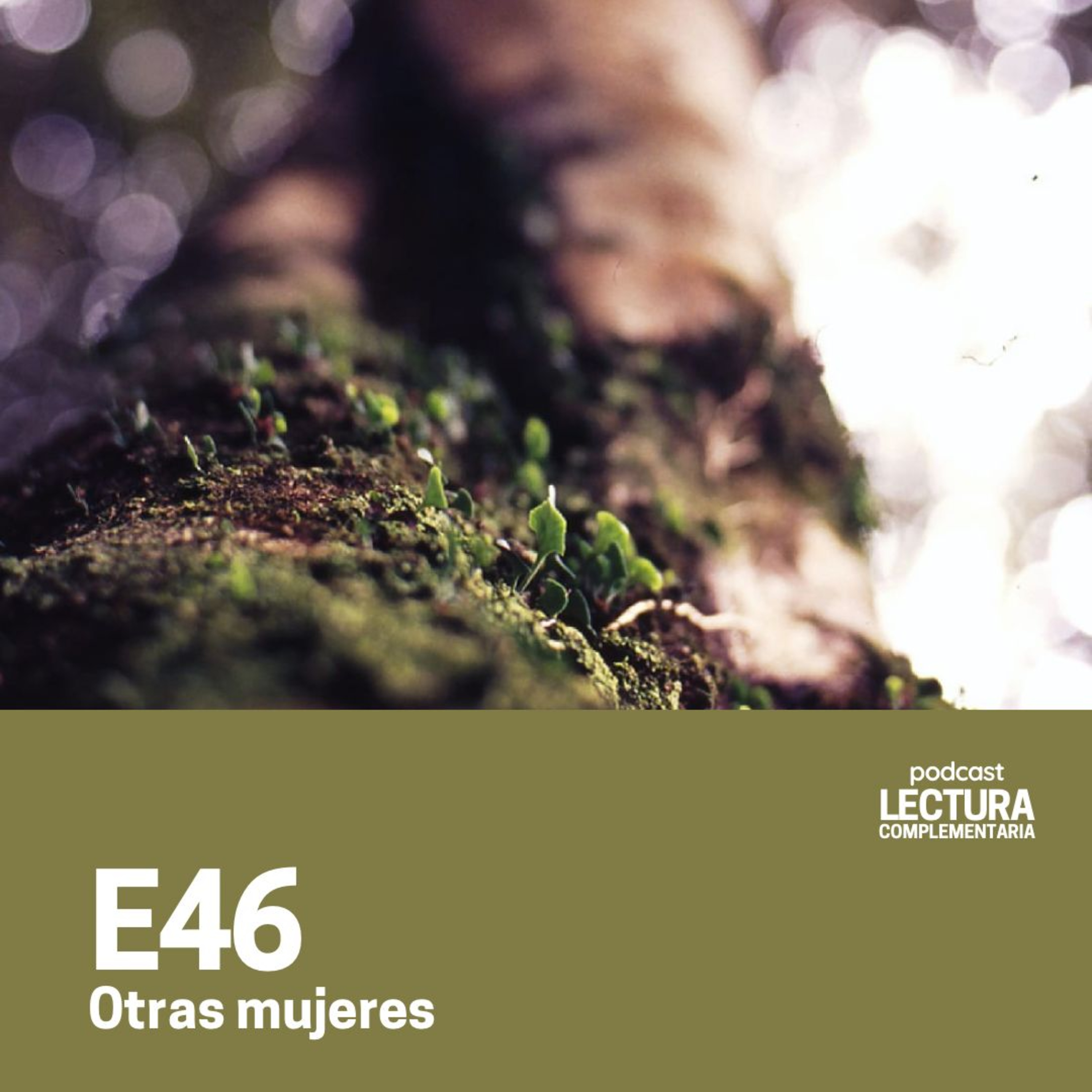 Lectura Complementaria