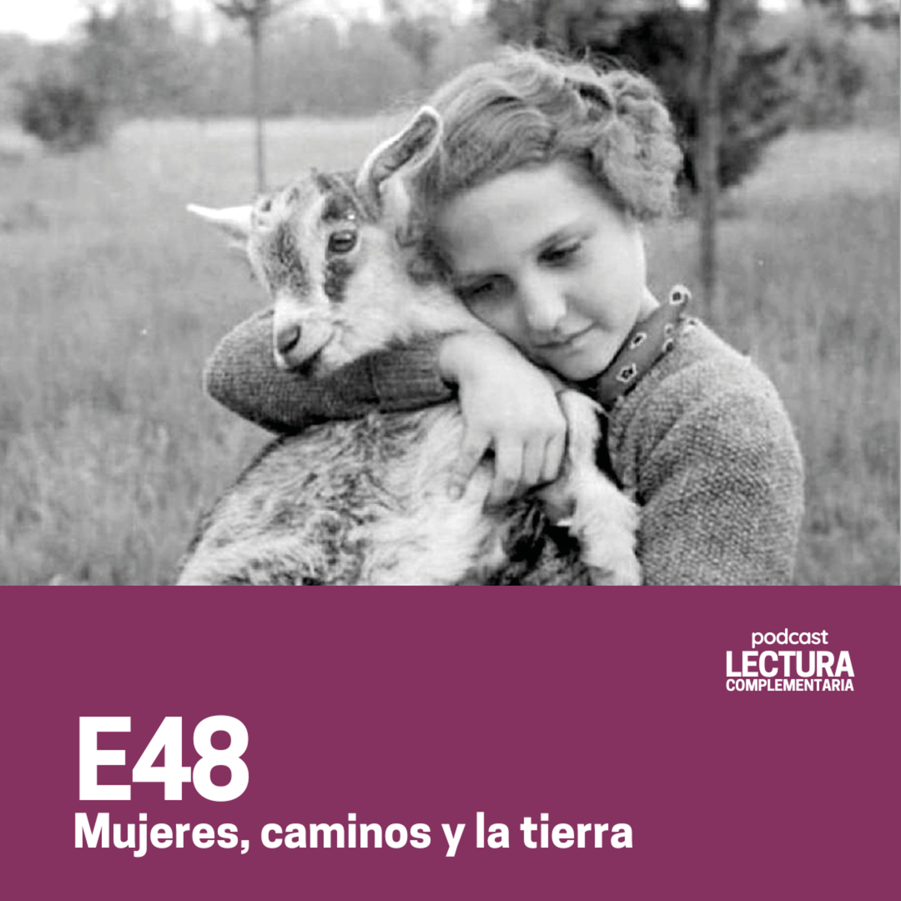 Lectura Complementaria