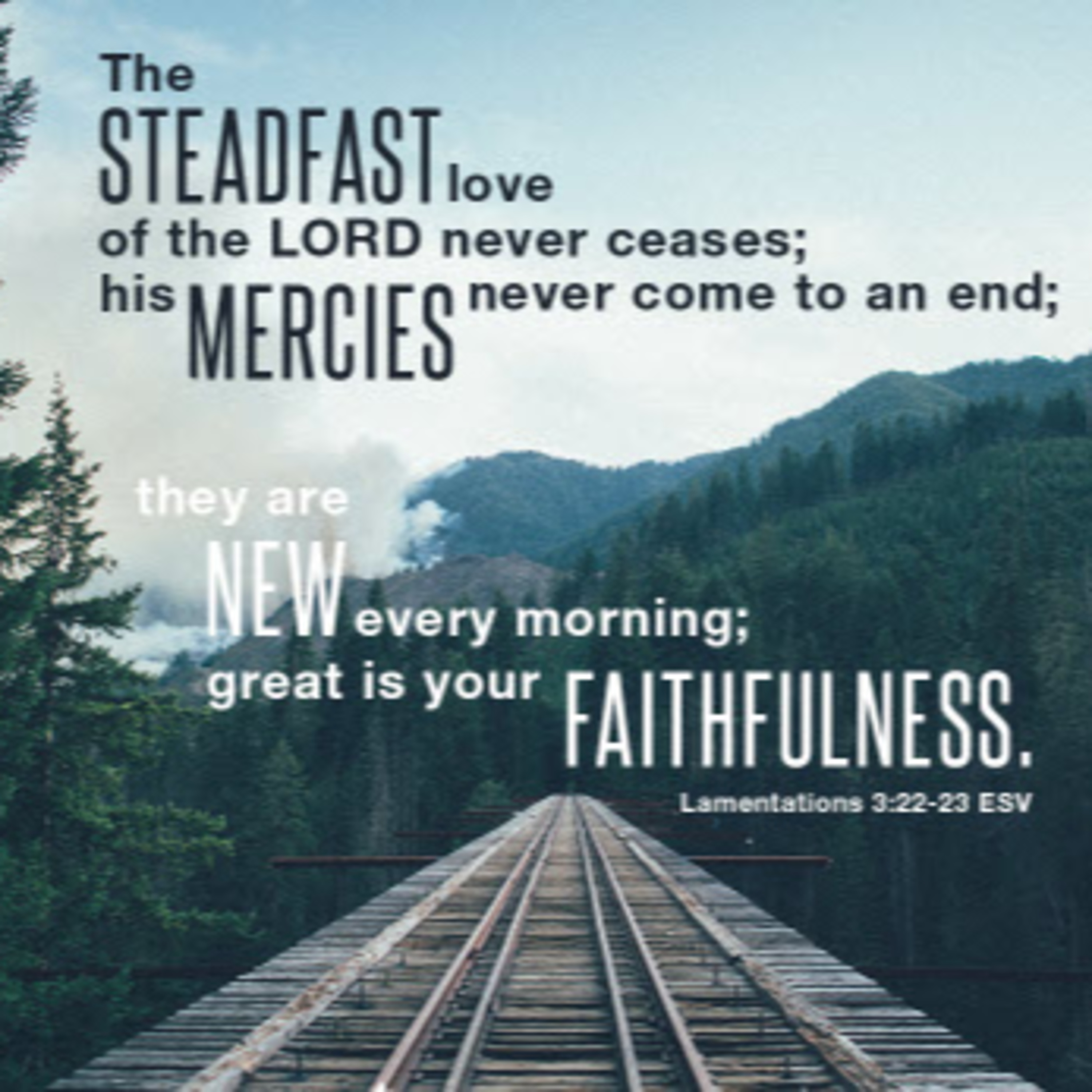 Daily Audio Torah ~ Oct 31, 2024 ~ Your Steadfast Love episode artwork