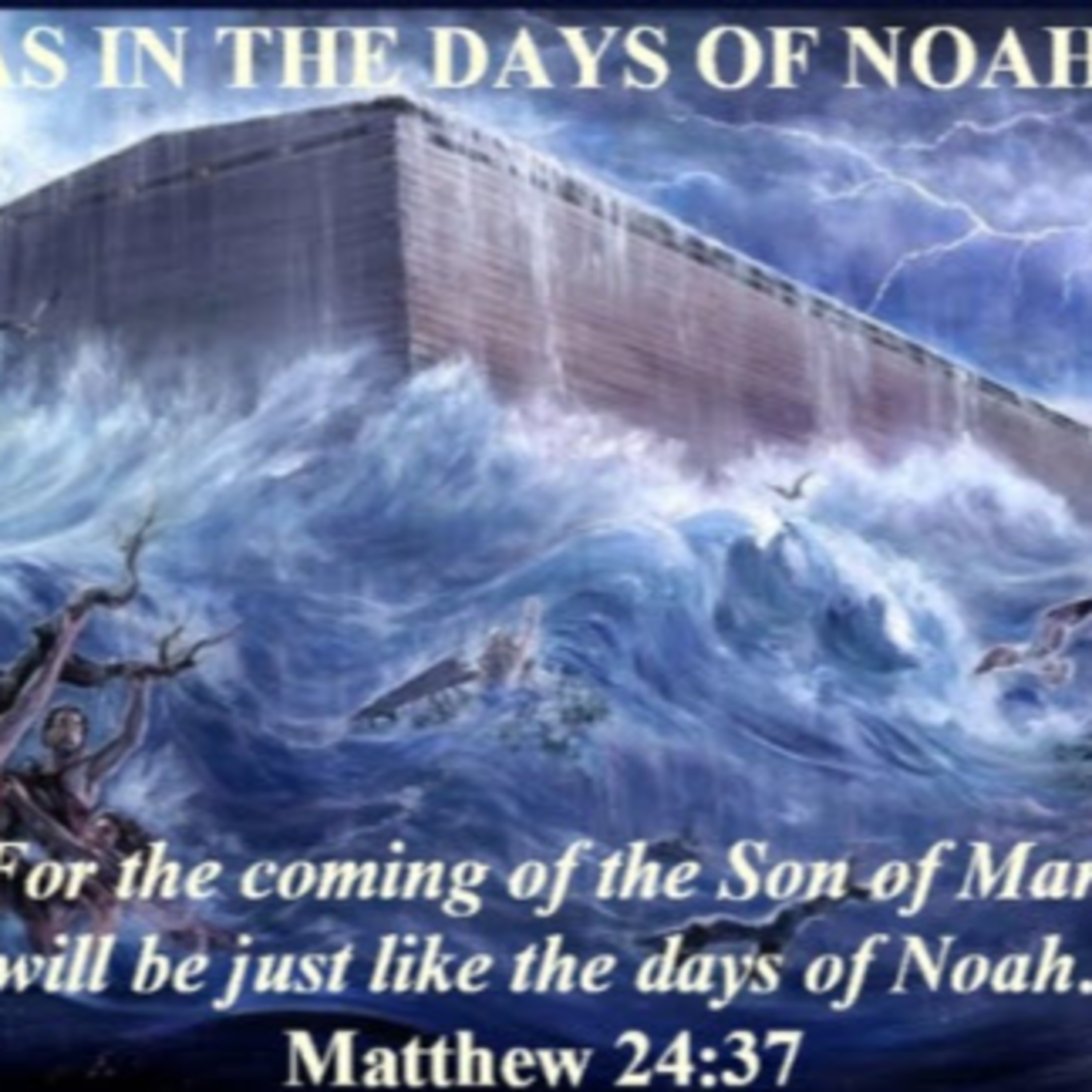 Daily Audio Torah ~ Nov 4, 2024 ~ As in the Days of Noah, So Shall the Coming of the Son of Man be! episode artwork