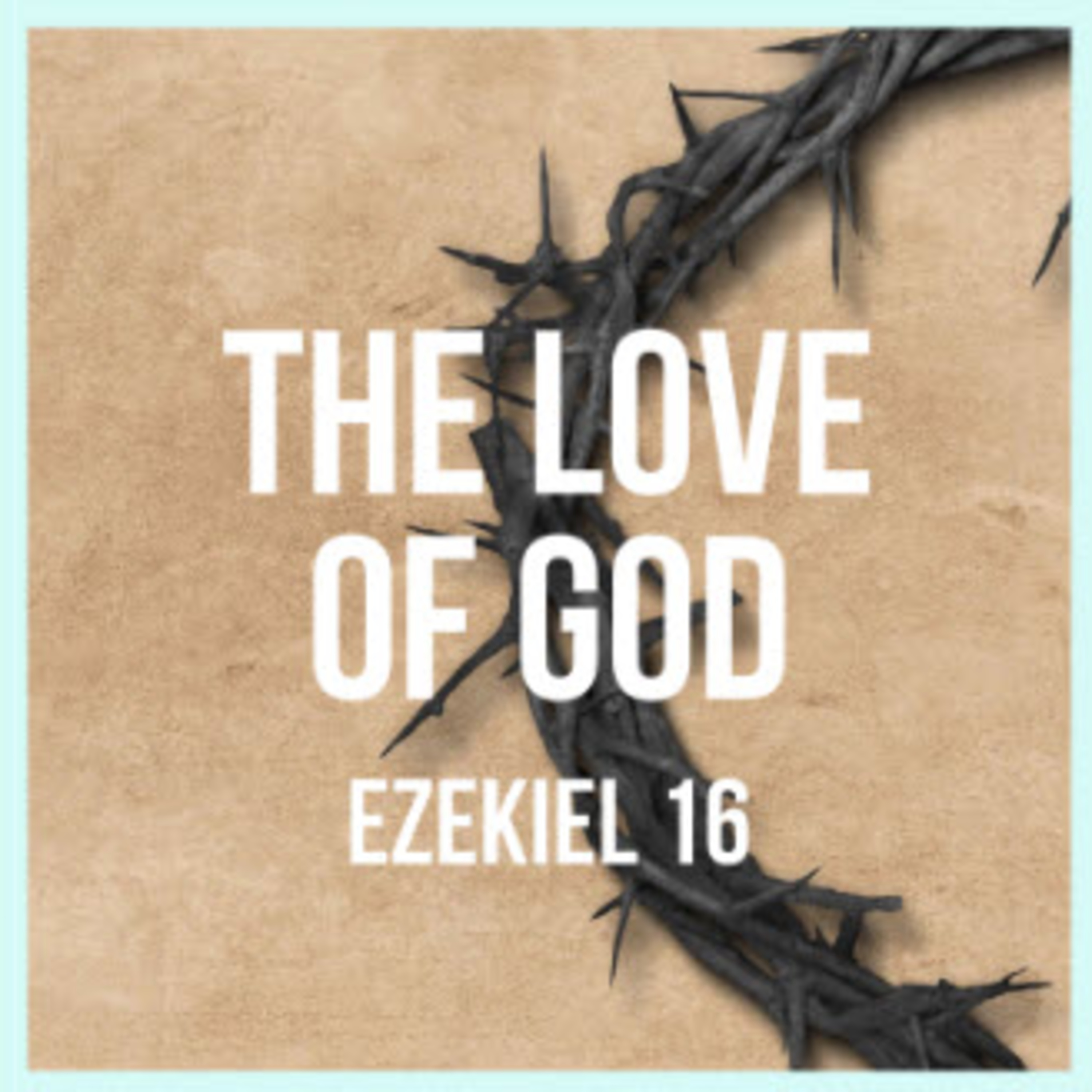 Daily Audio Torah ~ Nov 6, 2024 ~ Treachery of Adultery episode artwork