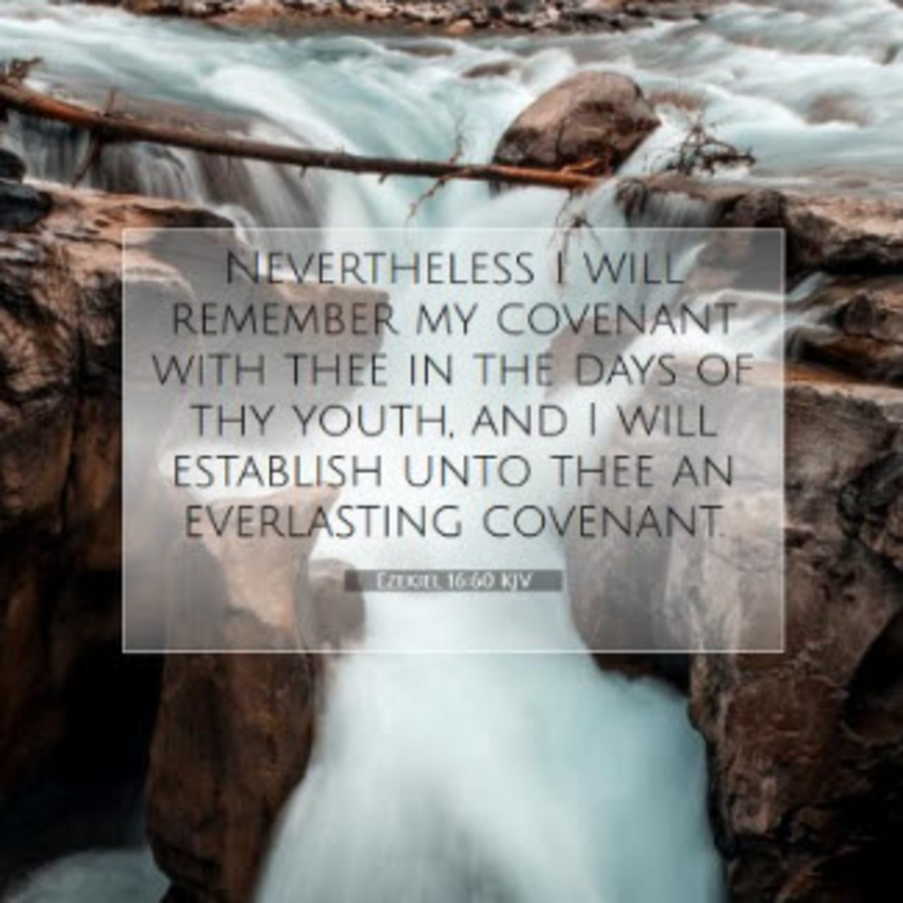 Daily Audio Torah ~ Nov 7, 2024 ~ A New Marriage Covenant episode artwork