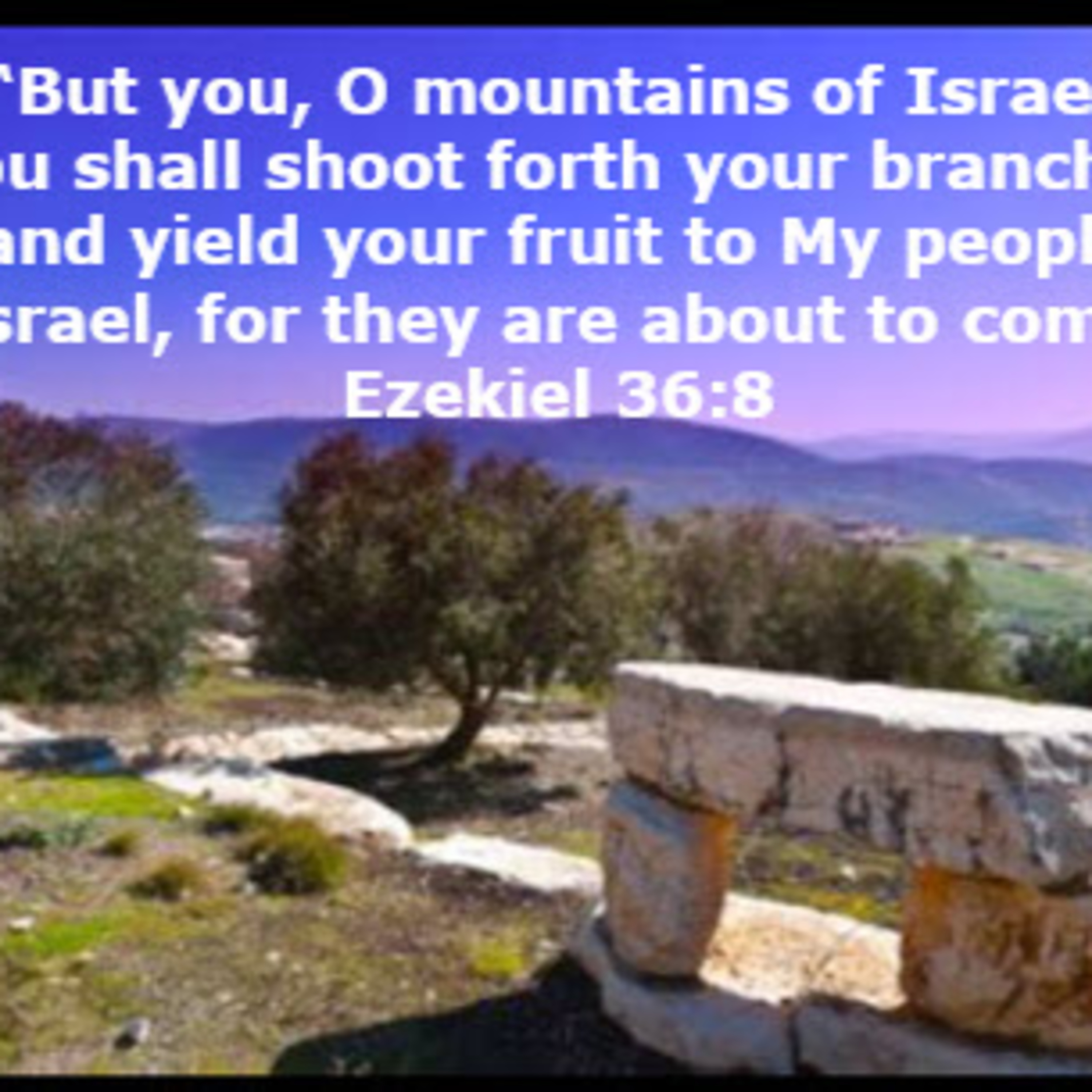 Daily Audio Torah ~ Nov 17, 2024 ~ Prophesy to the Mountains of Israel! episode artwork