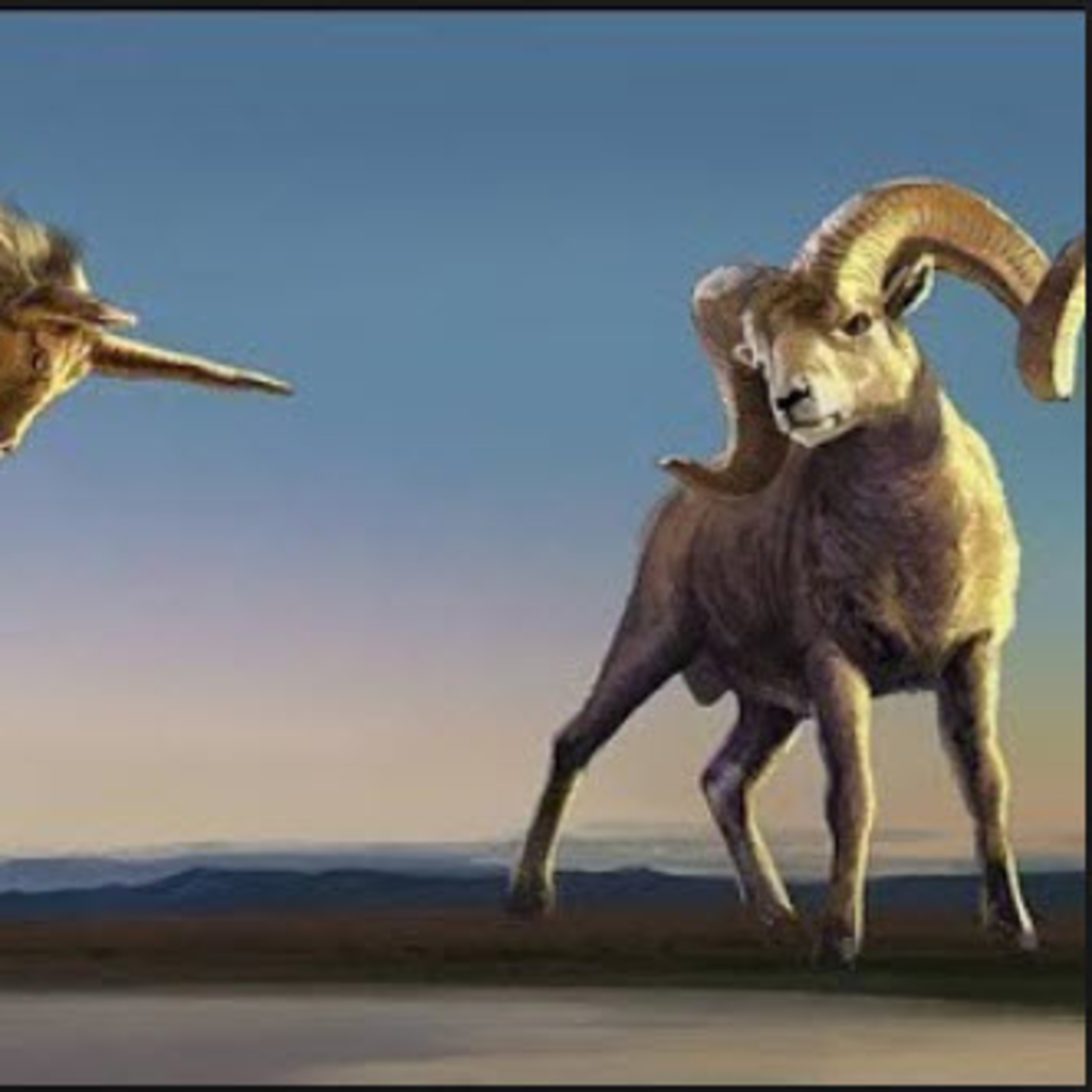 Daily Audio Torah ~ Dec 1, 2024 ~ End of Days Ram and Goat Conflict episode artwork
