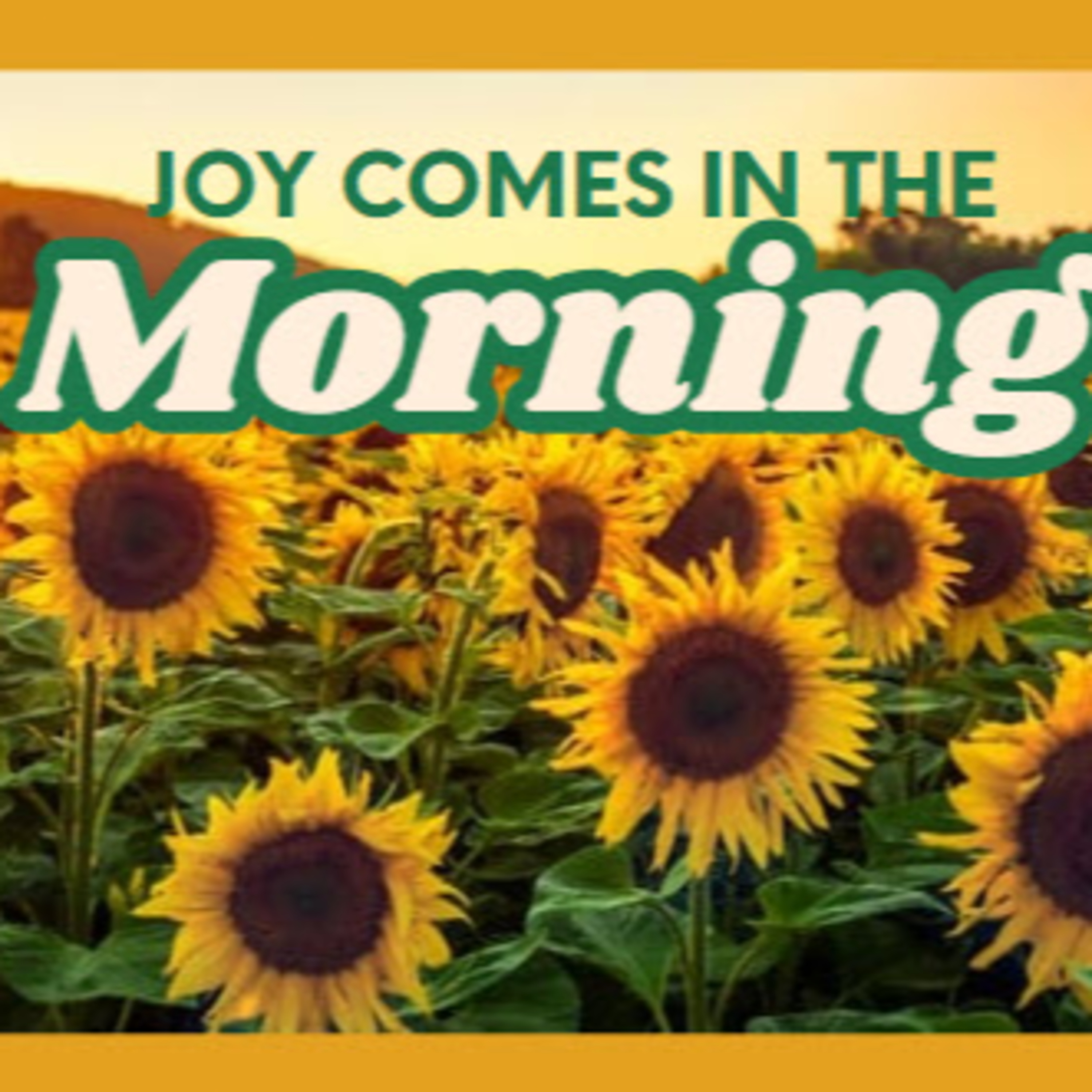 Daily Audio Torah ~ Dec 29, 2024 ~ Joy Comes in the Morning... episode artwork