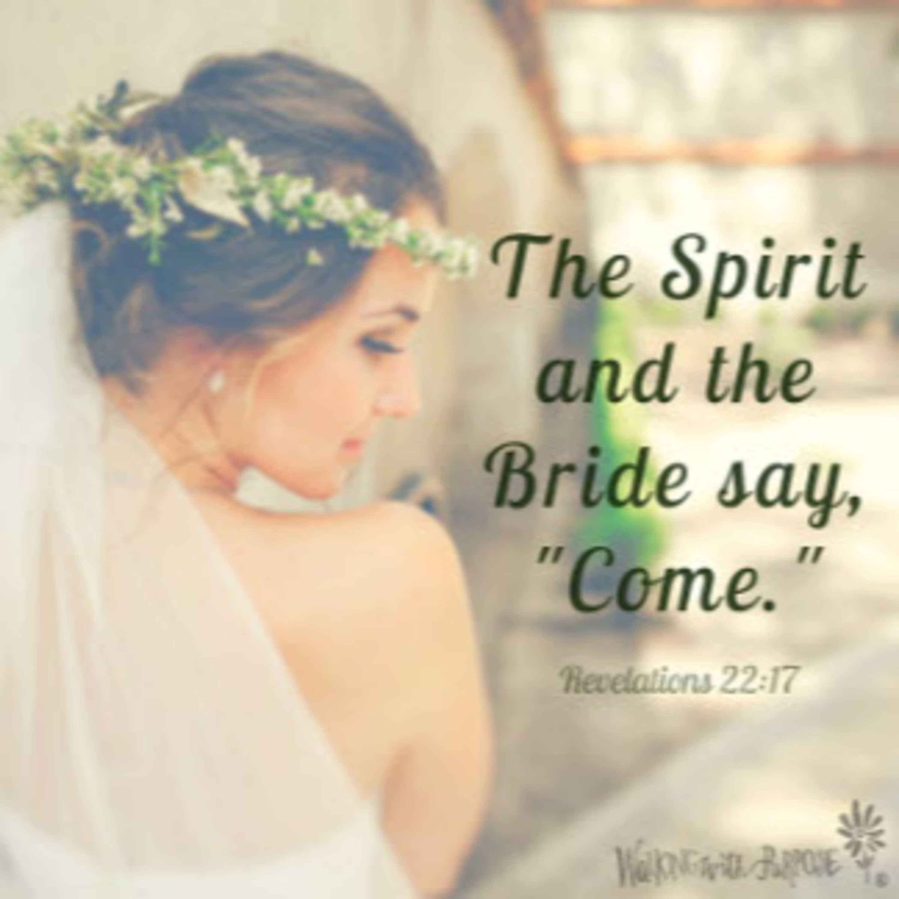 Daily Audio Torah ~ Dec 31, 2024 ~ The Spirit and the Bride say "Come"! episode artwork