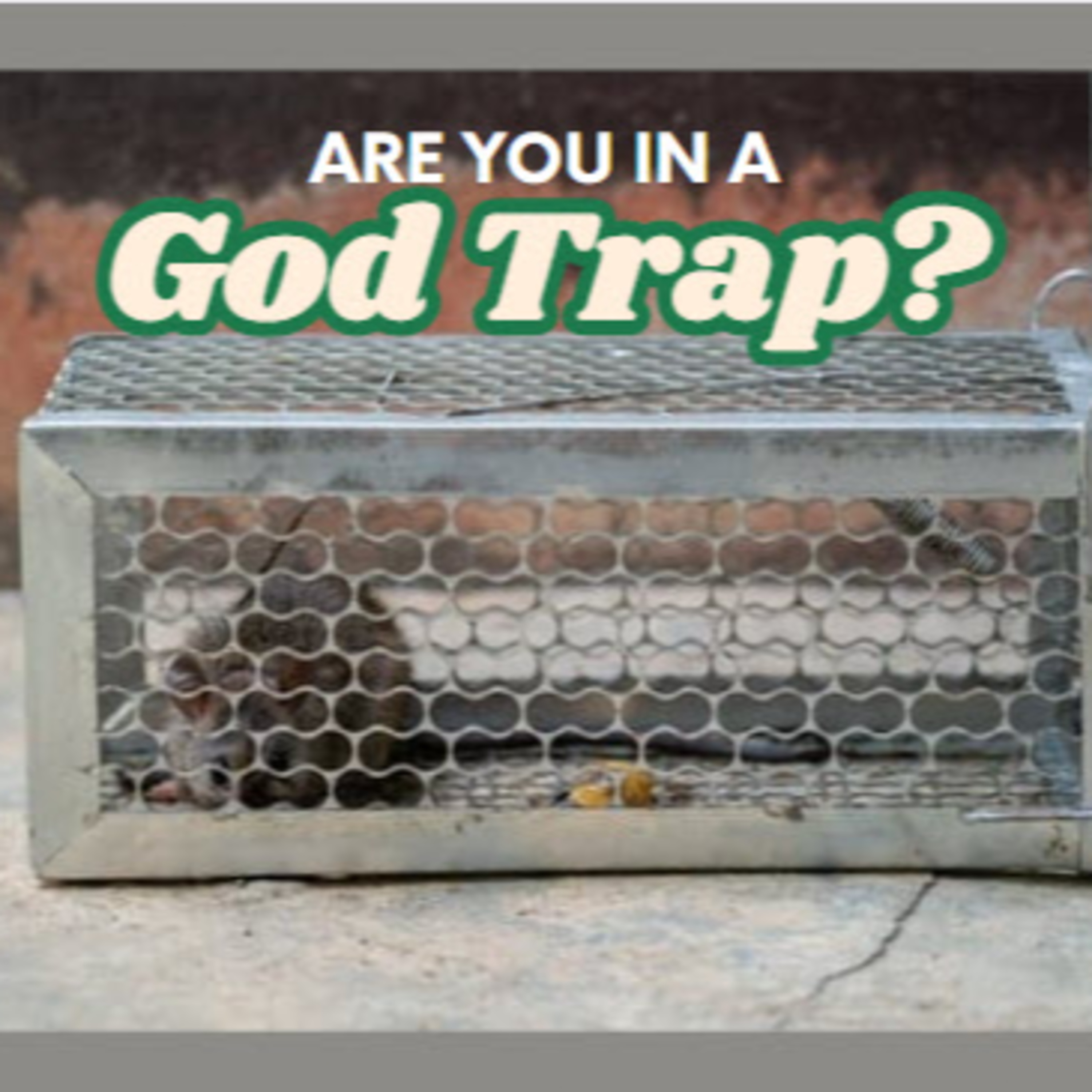 Daily Audio Torah ~ Jan 3, 2025 ~ Are You in a "God Trap"? episode artwork