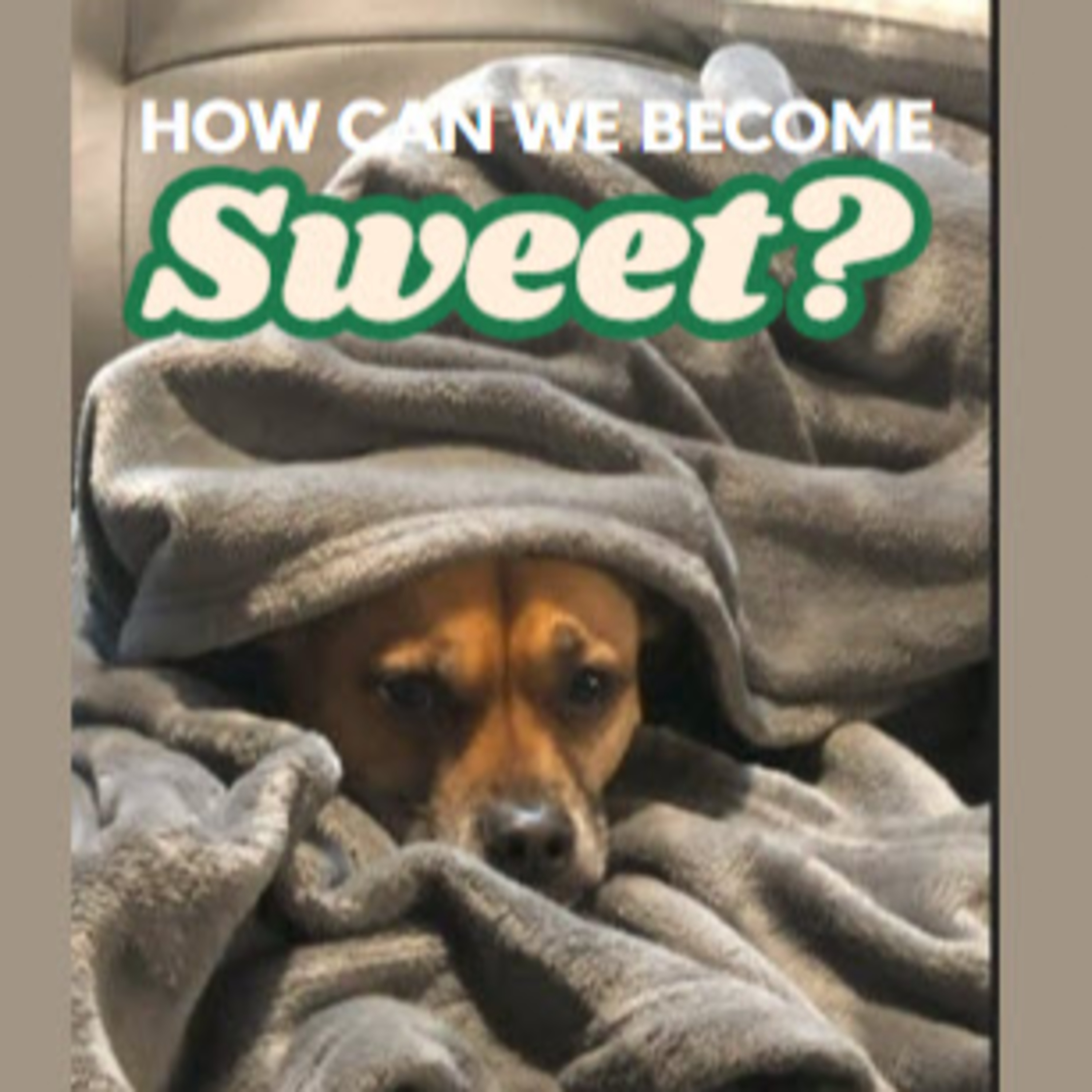 Daily Audio Torah ~ Jan 7, 2025 ~ How Can We Become Sweet? episode artwork