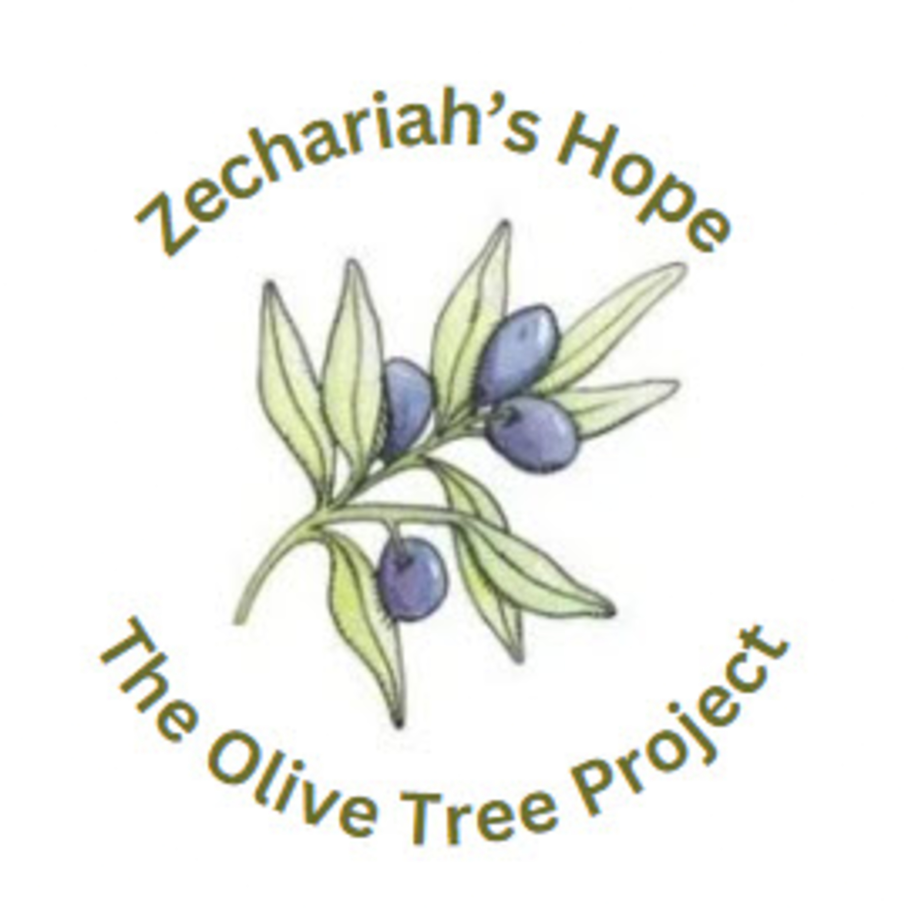 Daily Audio Torah ~ Jan 16, 2025 ~ The Olive Tree Project episode artwork