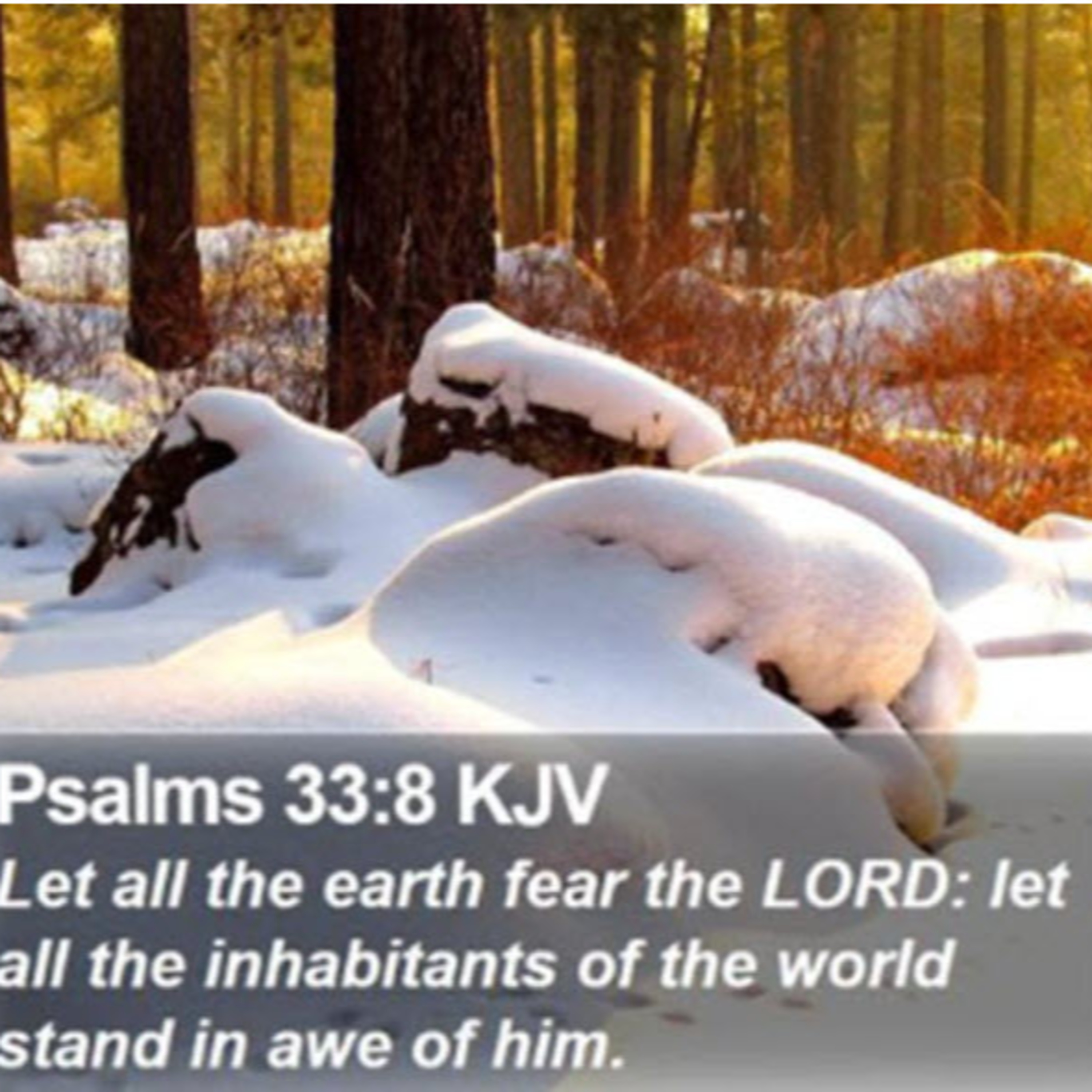 Daily Audio Torah ~ Feb 12, 2025 ~ Stand in Awe! episode artwork