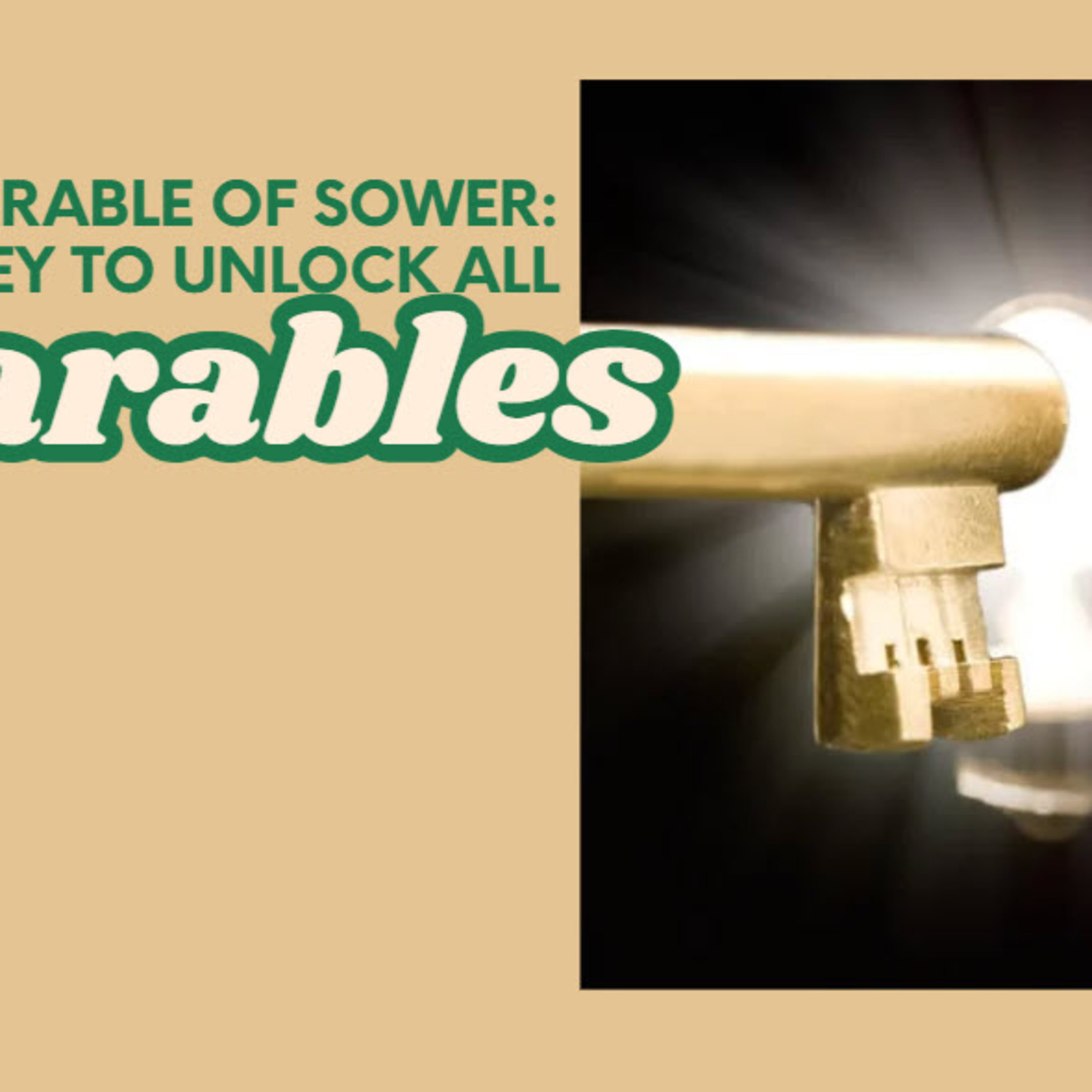 Daily Audio Torah ~ Feb 19, 2025 ~ The Key to Unlock All Parables episode artwork