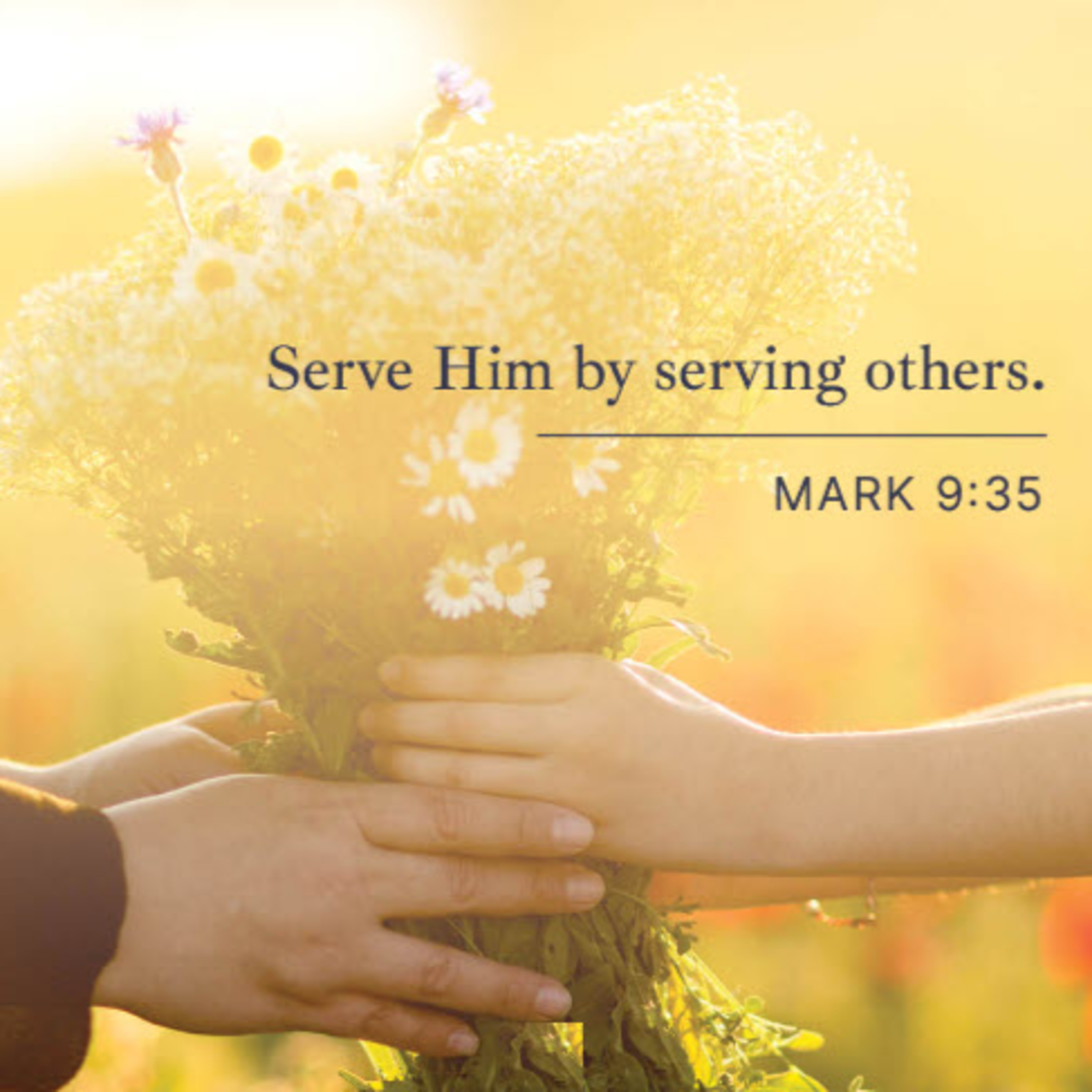 Daily Audio Torah ~ Feb 28, 2025 ~ On Being a Servant... episode artwork
